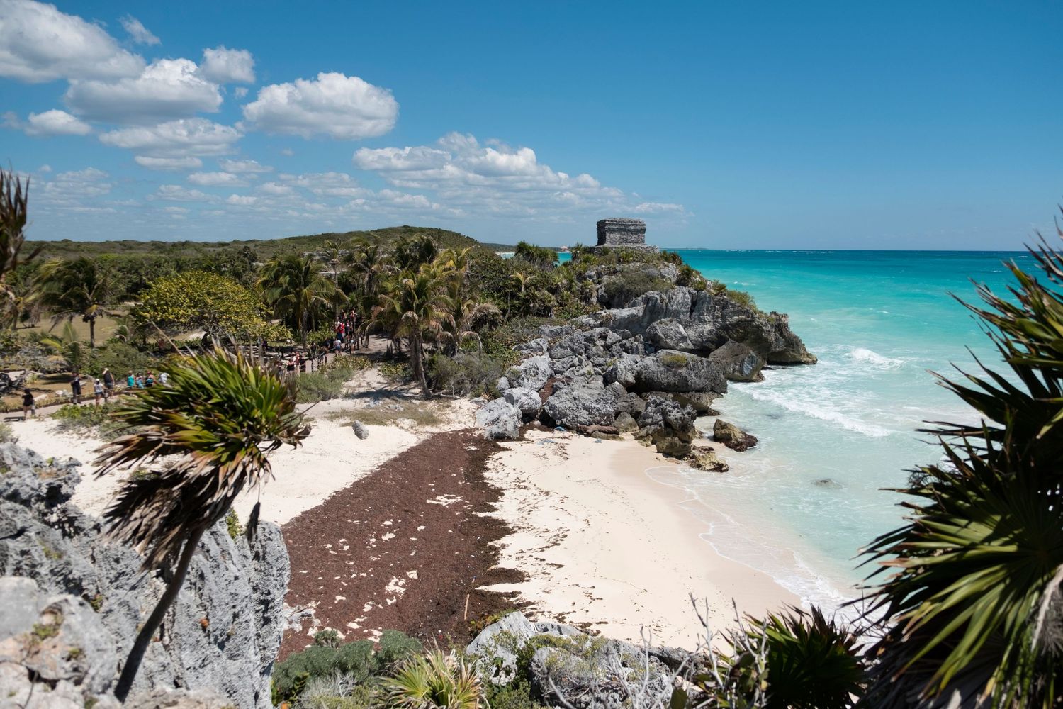 Ancient Mayan ruins overlook a pristine turquoise Caribbean beach surrounded by lush tropical palms in Tulum, Mexico.