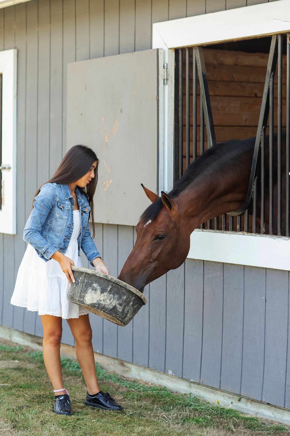 Young woman in denim jacket feeding a brown horse from a bucket outside a stable.