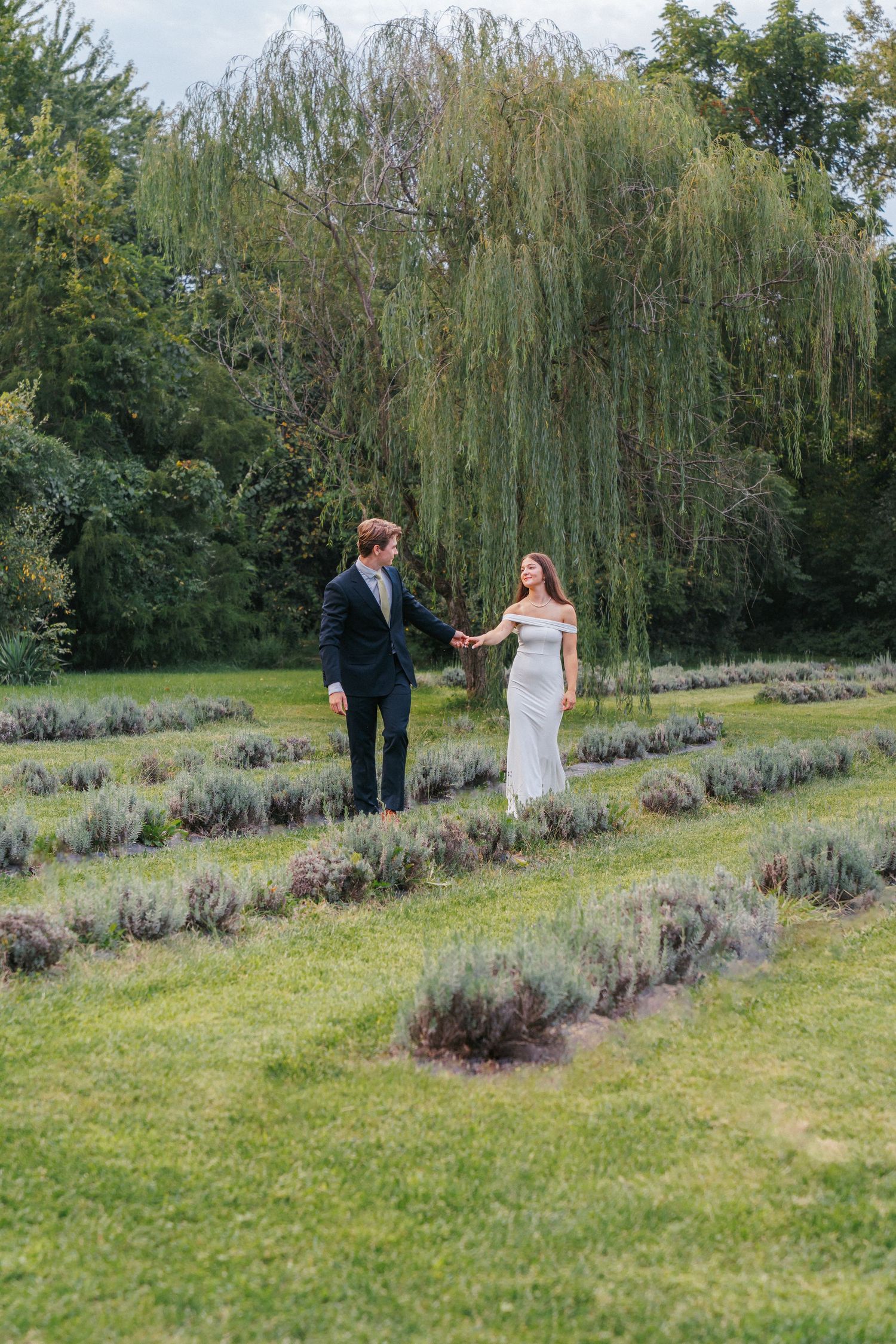 Couple in formal attire holding hands in a lavender garden with a weeping willow tree backdrop.