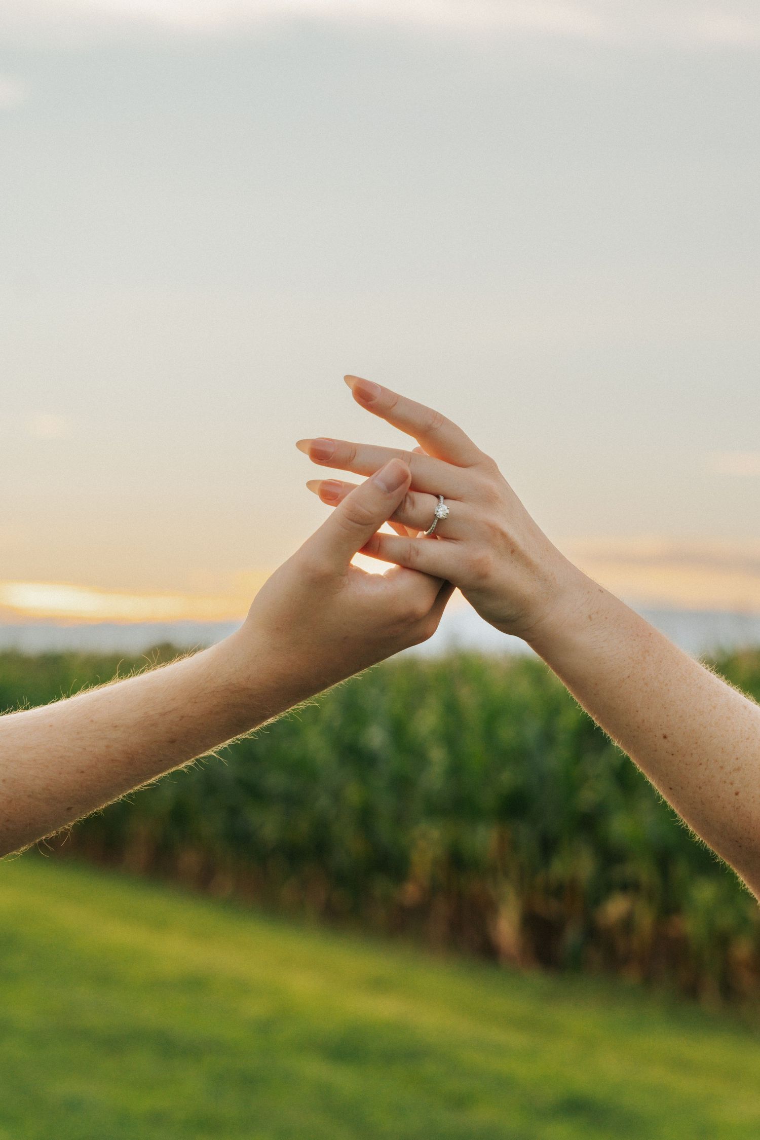 Close-up of couple touching fingertips at sunset, woman wearing an engagement ring near a cornfield.