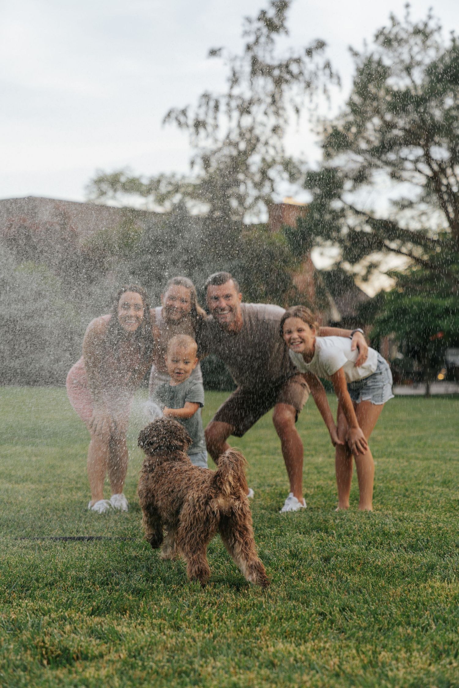 Happy family laughing as their curly brown dog shakes water from a sprinkler in a green backyard.