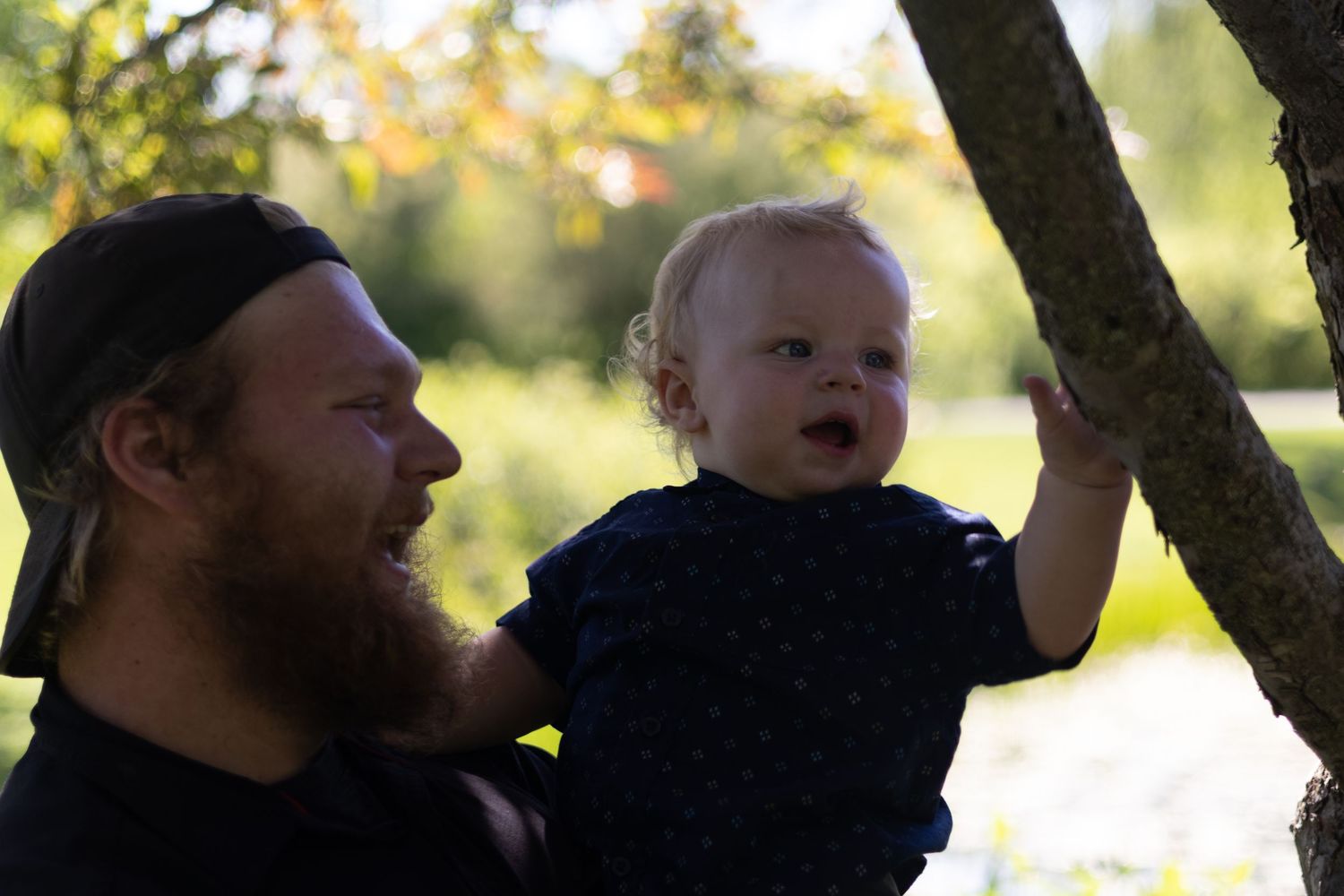 A bearded man holds a curious baby near a tree in a sunlit outdoor setting.