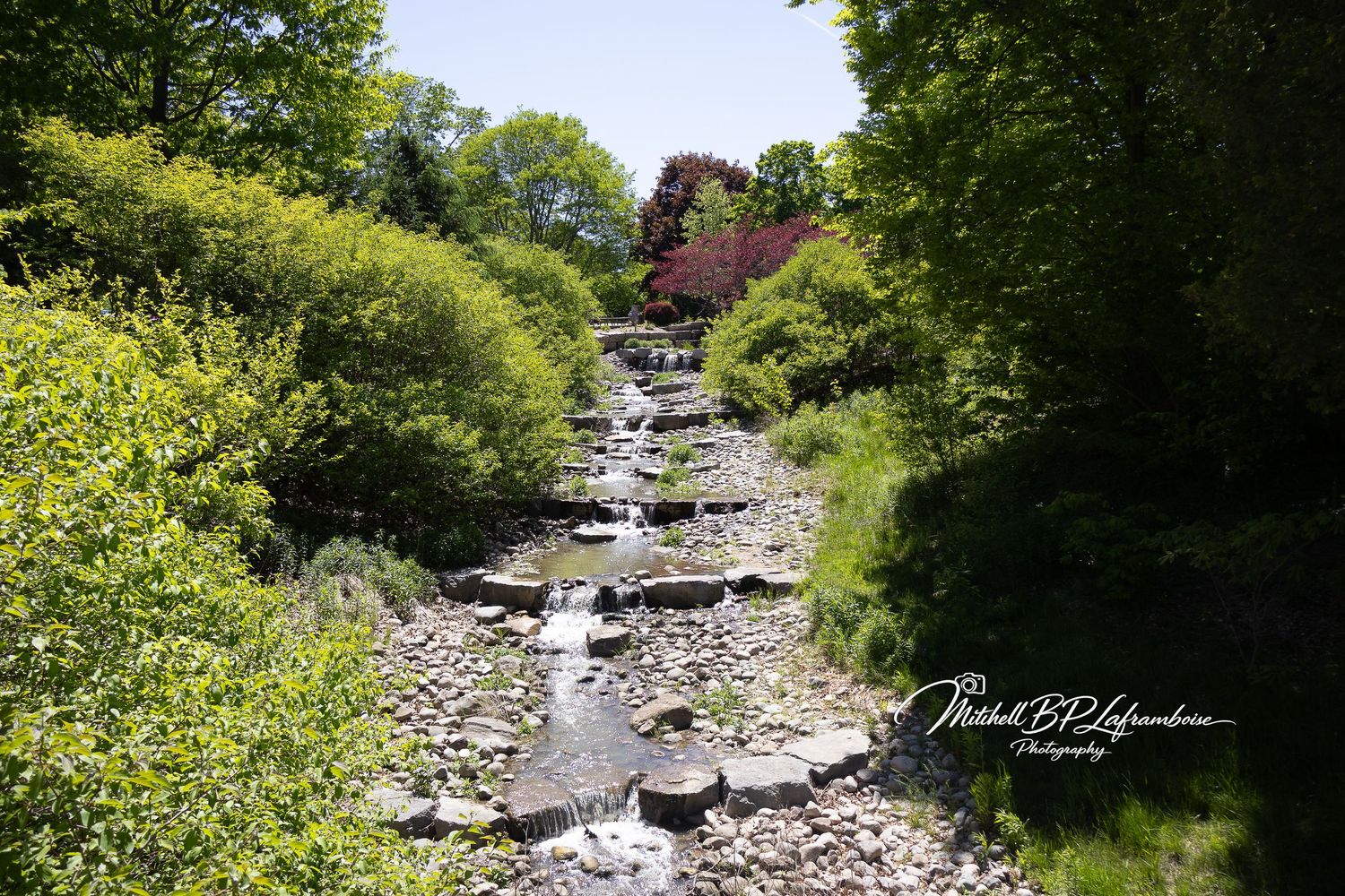 Lush green garden with a rocky stream flowing down natural stone steps surrounded by trees.