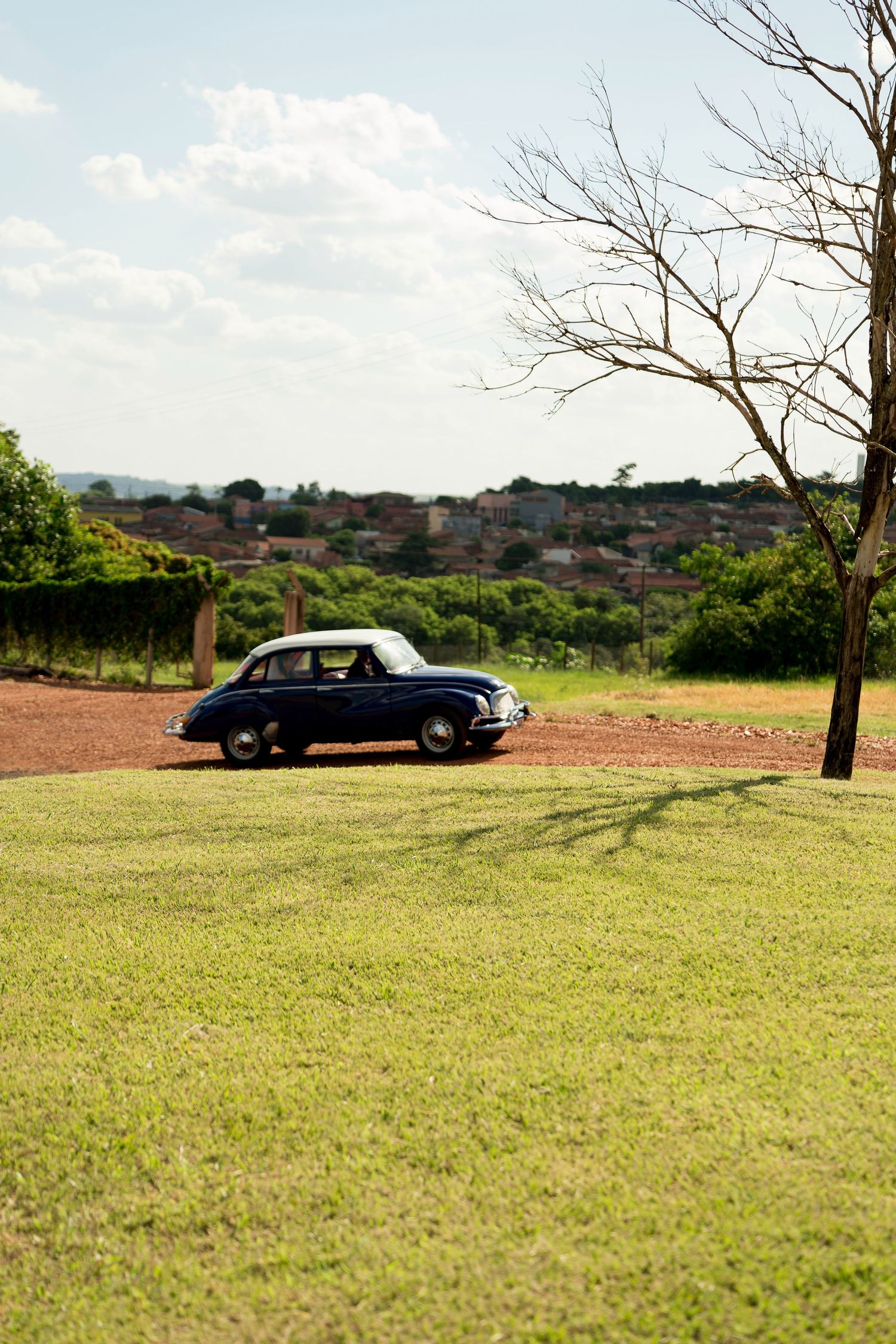 A vintage dark blue classic car parked on a dirt path beside a bare tree, with green lawn and town skyline in background.