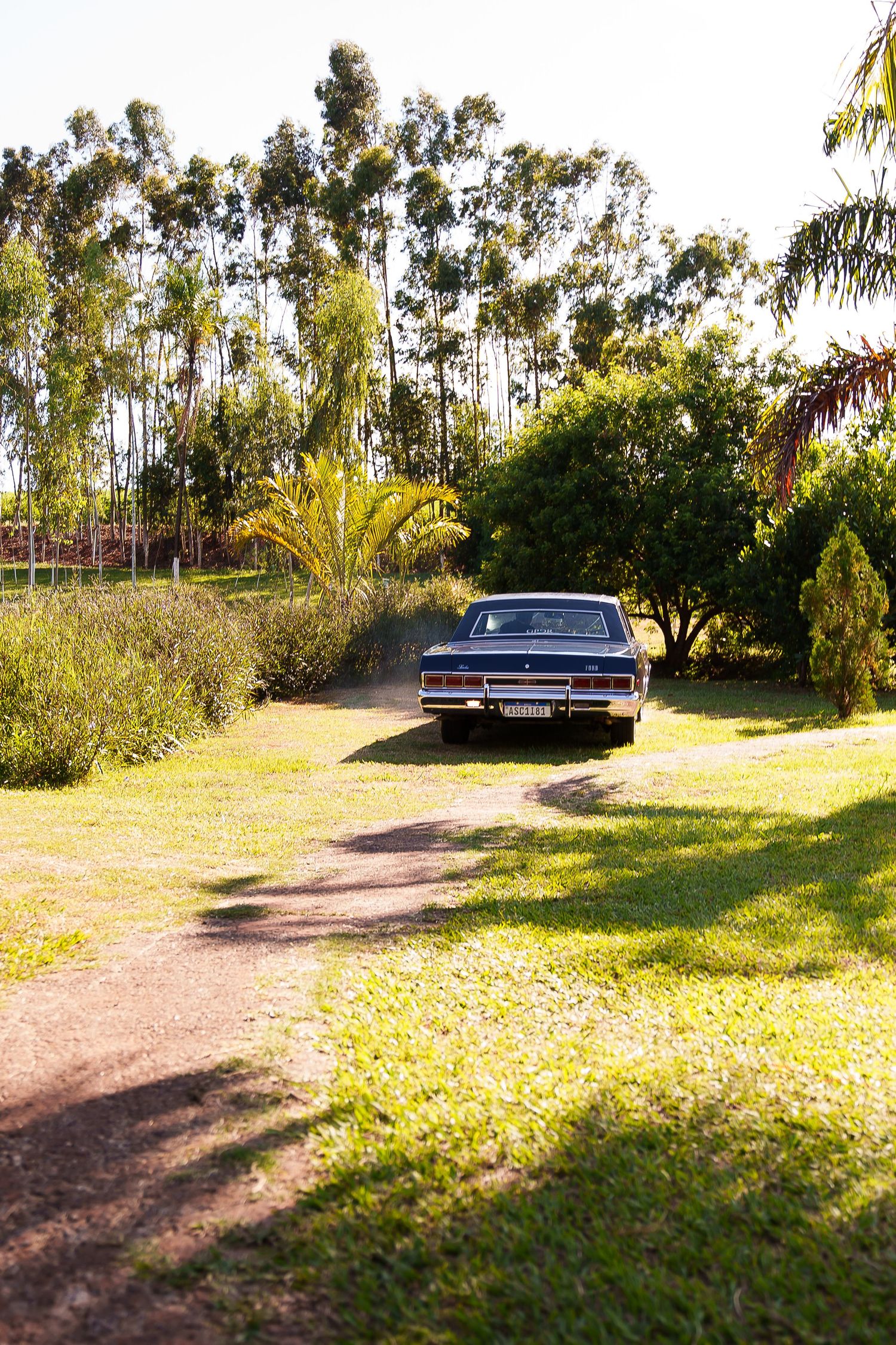 Vintage dark blue classic car parked on a dirt path surrounded by lush green trees and manicured lawn in a sunny garden.