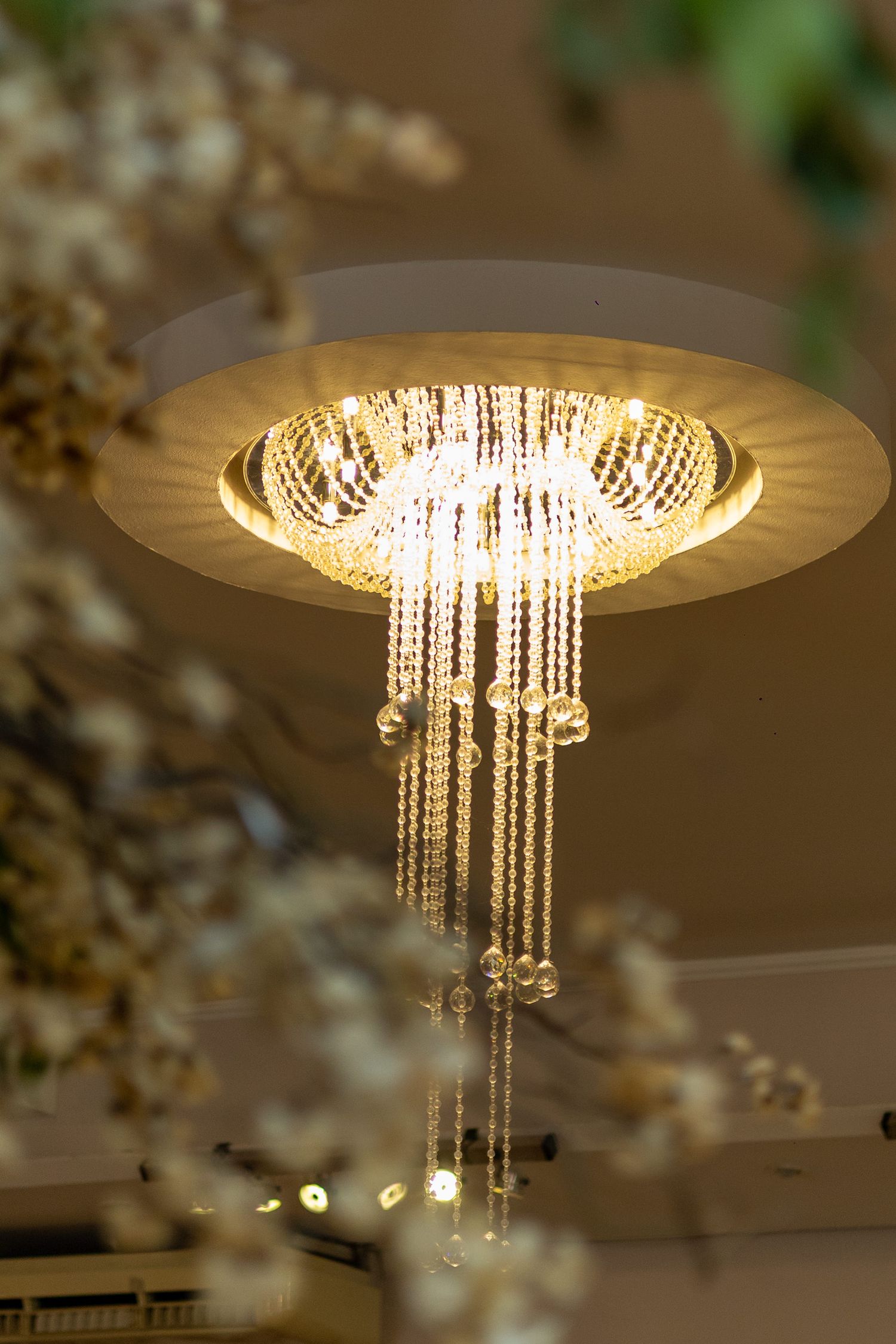 Elegant crystal chandelier with warm glowing lights hanging from ceiling, framed by delicate white blossoms.