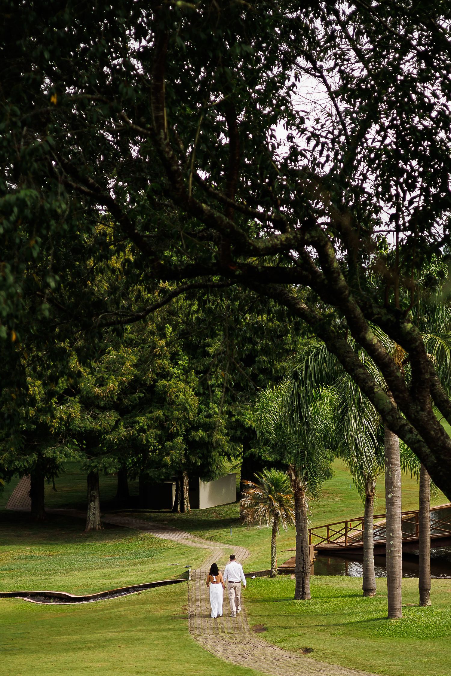 Couple walking hand in hand along a winding path through a lush green park with tall trees and palm trees.