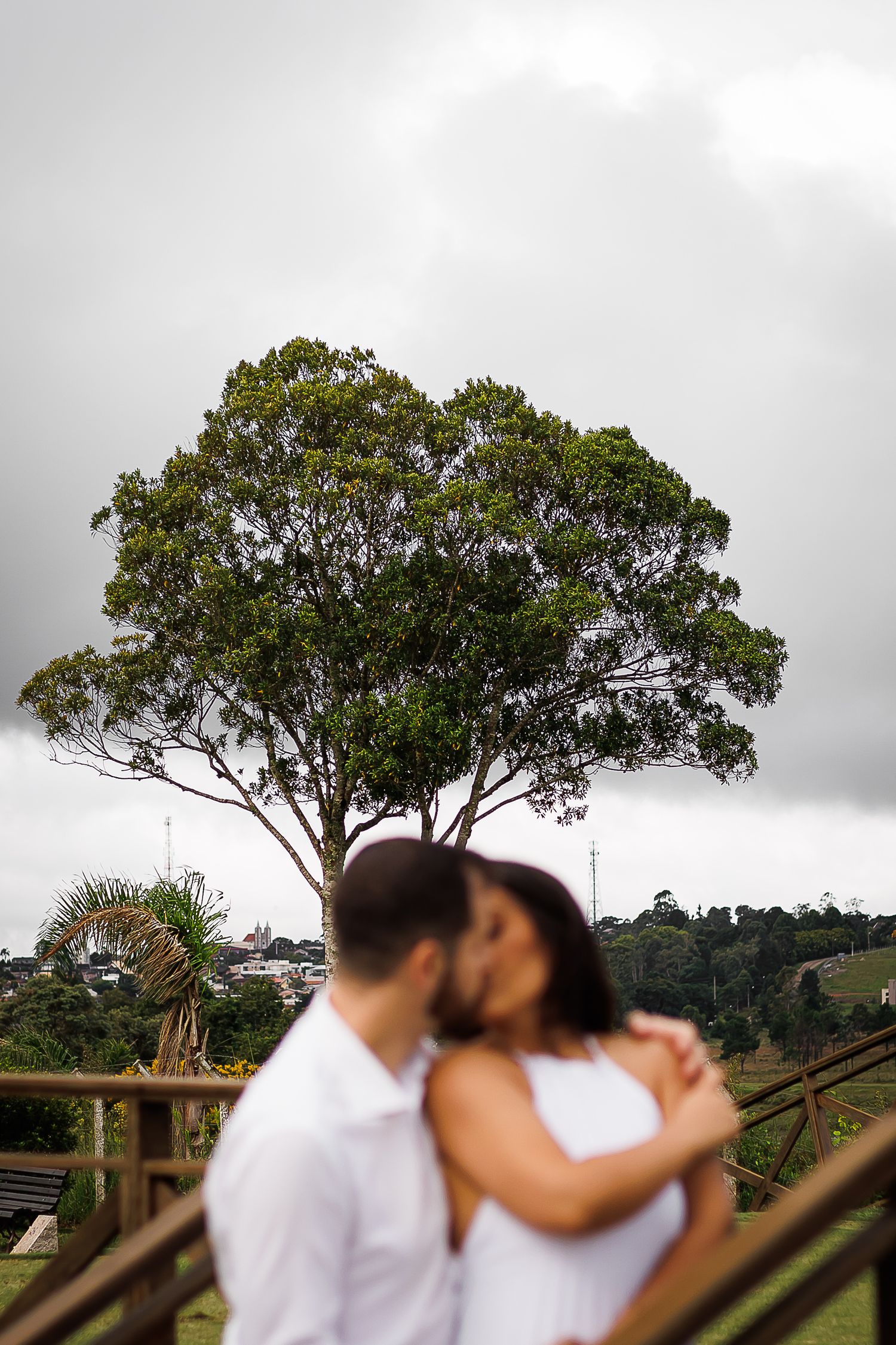Couple sharing a romantic kiss outdoors with a large green tree and cloudy sky in the background.
