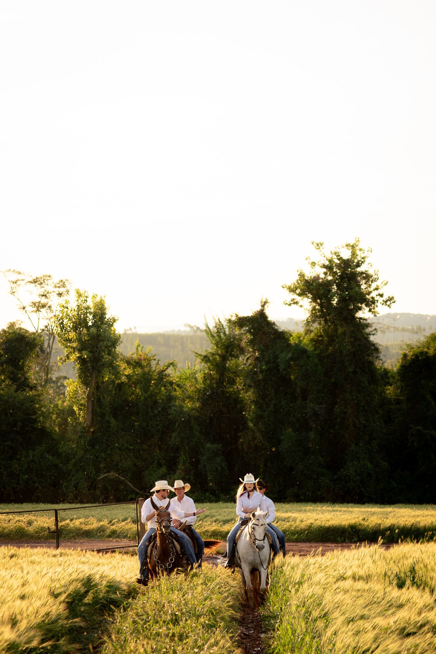 Three cowboys in white shirts and hats ride horses through a lush green field at golden hour.