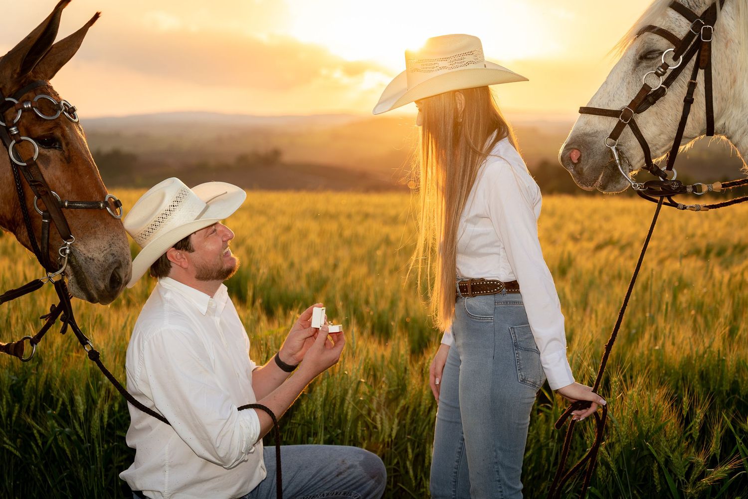 Man proposes to woman in golden field at sunset, both wearing cowboy hats, with horses nearby.