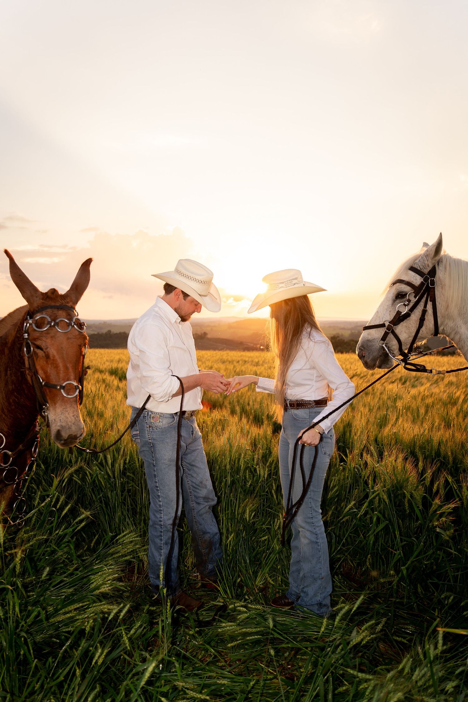 A cowboy and cowgirl in white hats and jeans stand in a golden wheat field at sunset with brown and white horses.