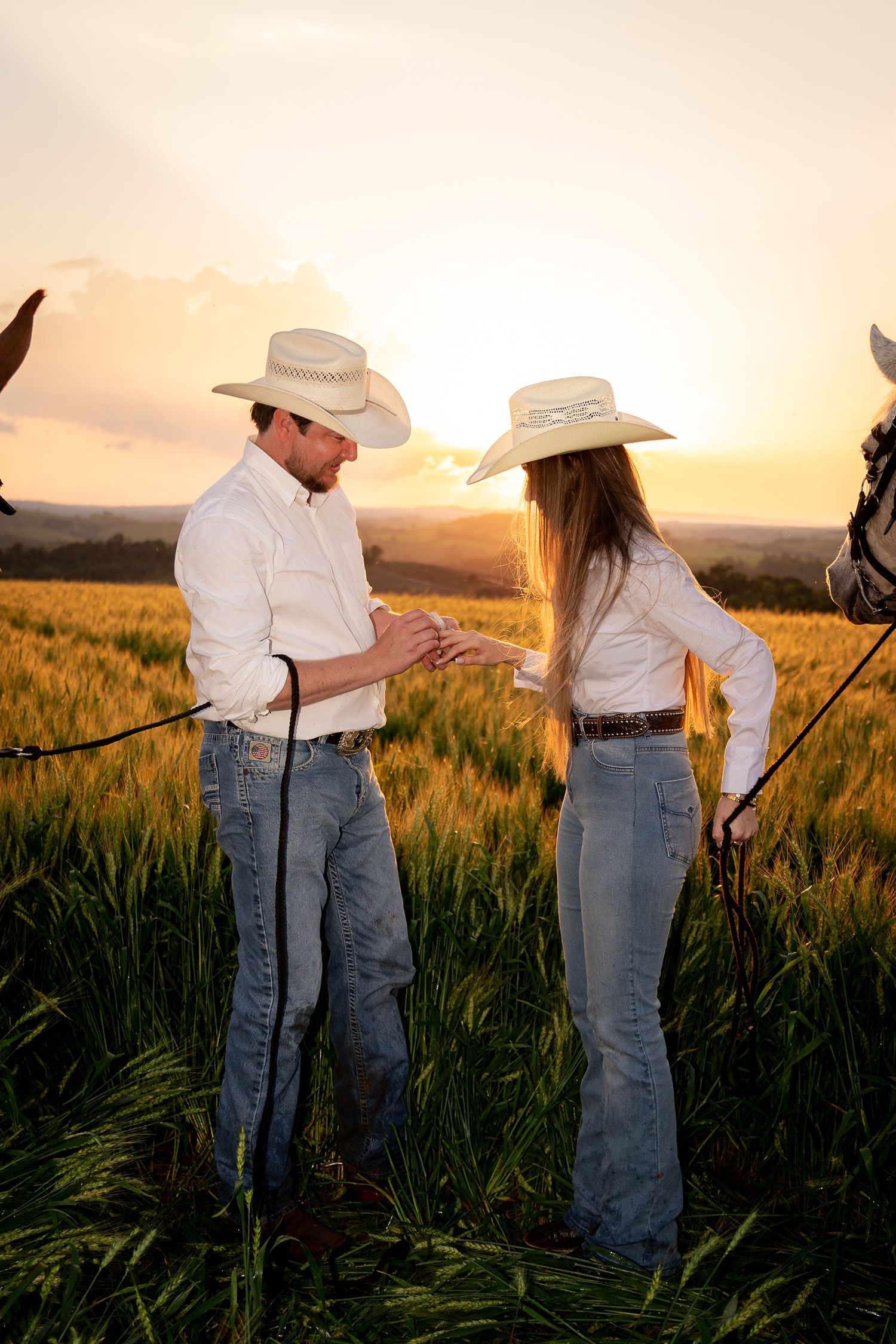 A cowboy and cowgirl in white hats and jeans hold hands in a golden wheat field at sunset near horses.