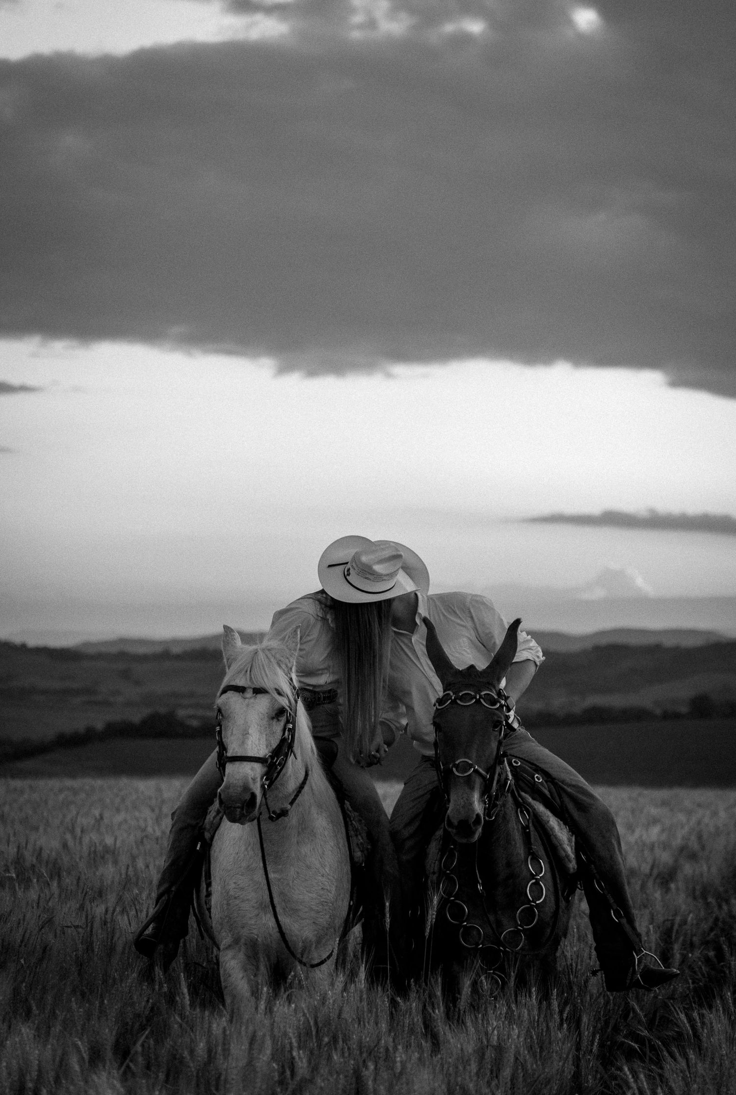 Black and white photo of a cowgirl in a hat standing between two horses in an open field under dramatic cloudy skies.