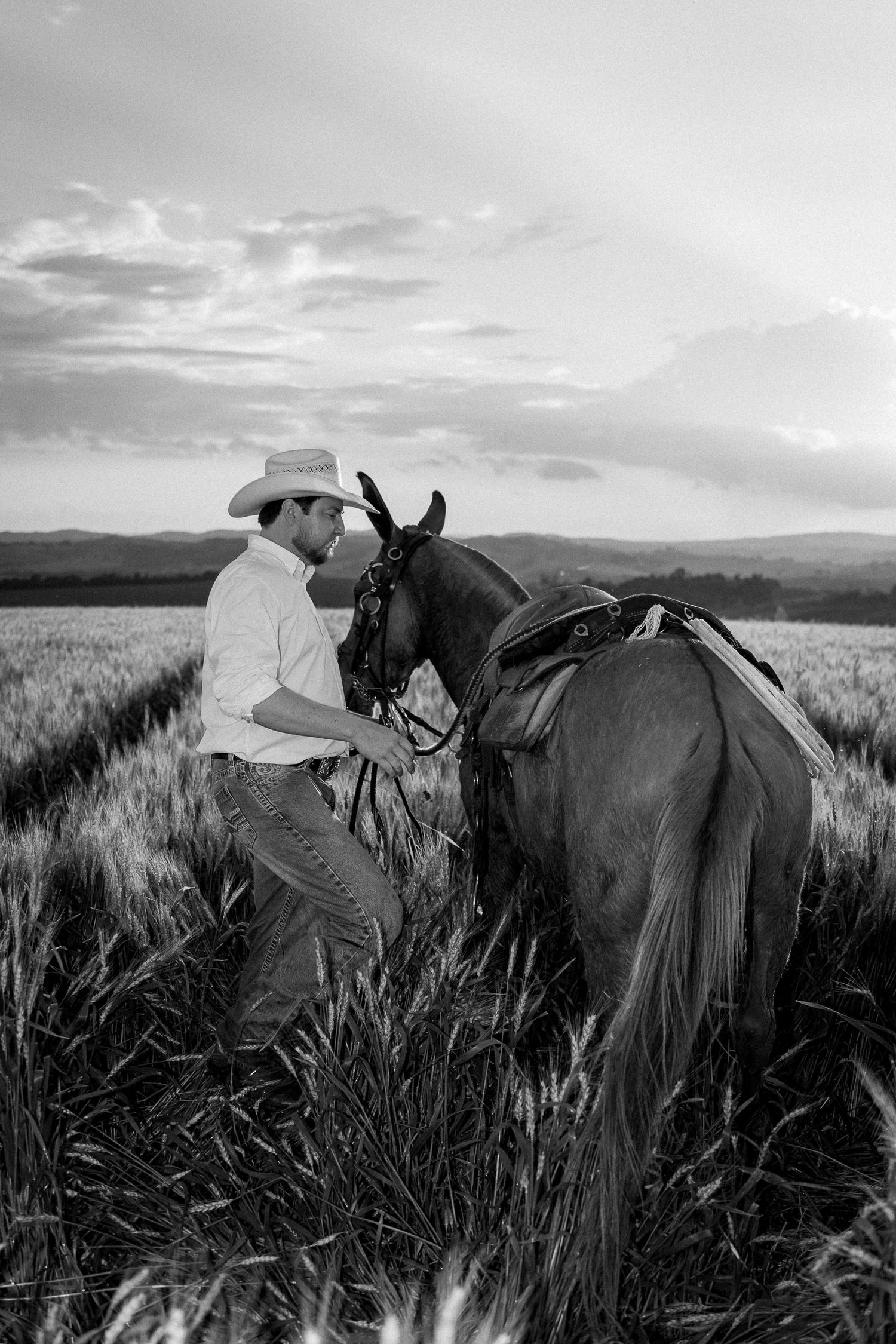Black and white photo of a cowboy in a hat bonding with his saddled horse in a vast wheat field at sunset.