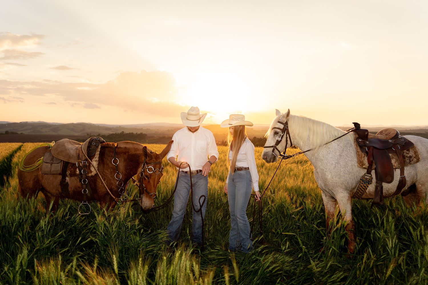 Two cowboys in white shirts and hats stand with brown and white horses in a golden sunset field.