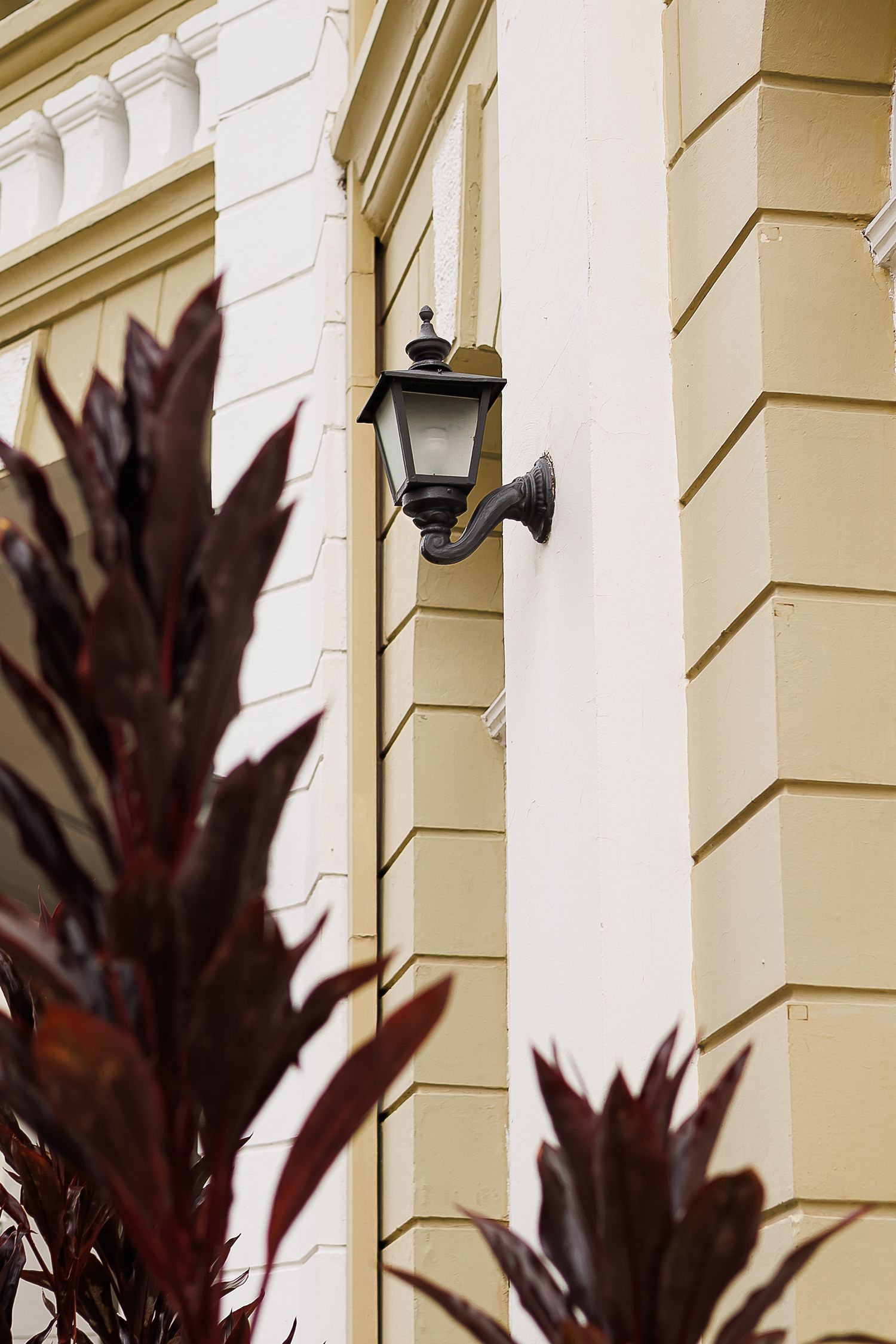 Vintage black wall lantern mounted on a cream-colored classical building facade with red tropical plants in the foreground.