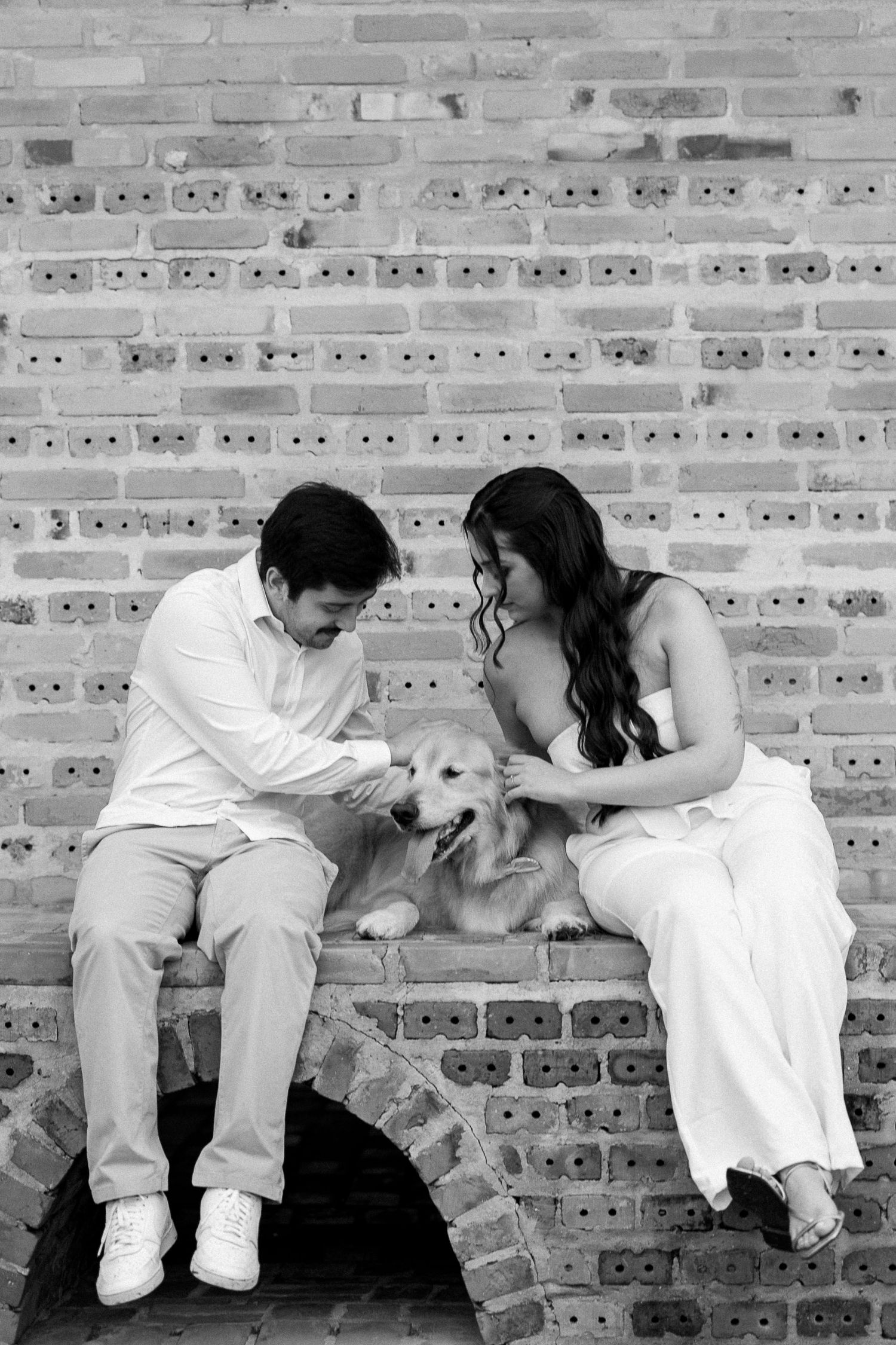 Black and white photo of a couple sitting on a brick ledge, petting their golden retriever dog together.