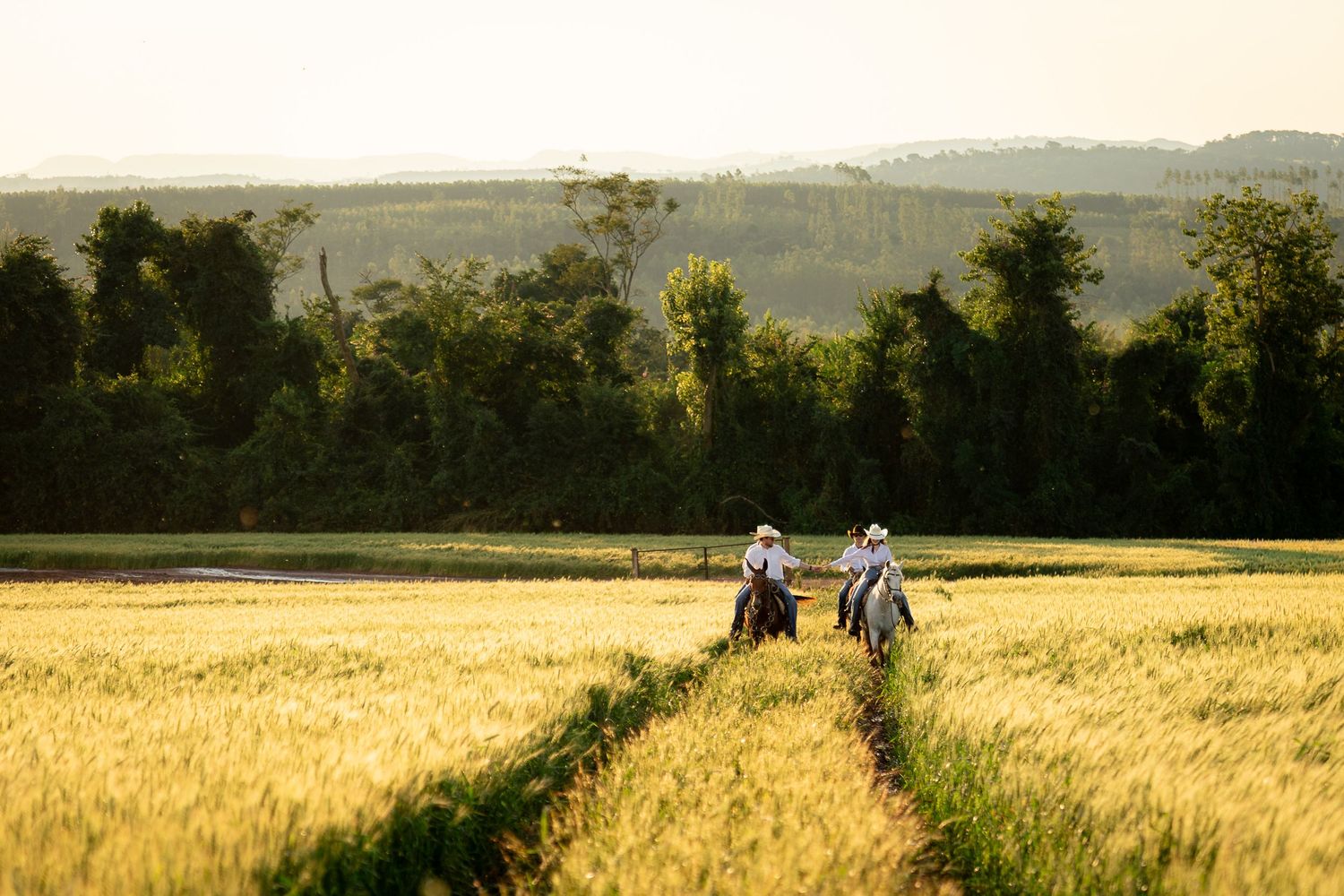 Two riders on horseback traverse a lush golden wheat field with green trees and rolling hills in the background.