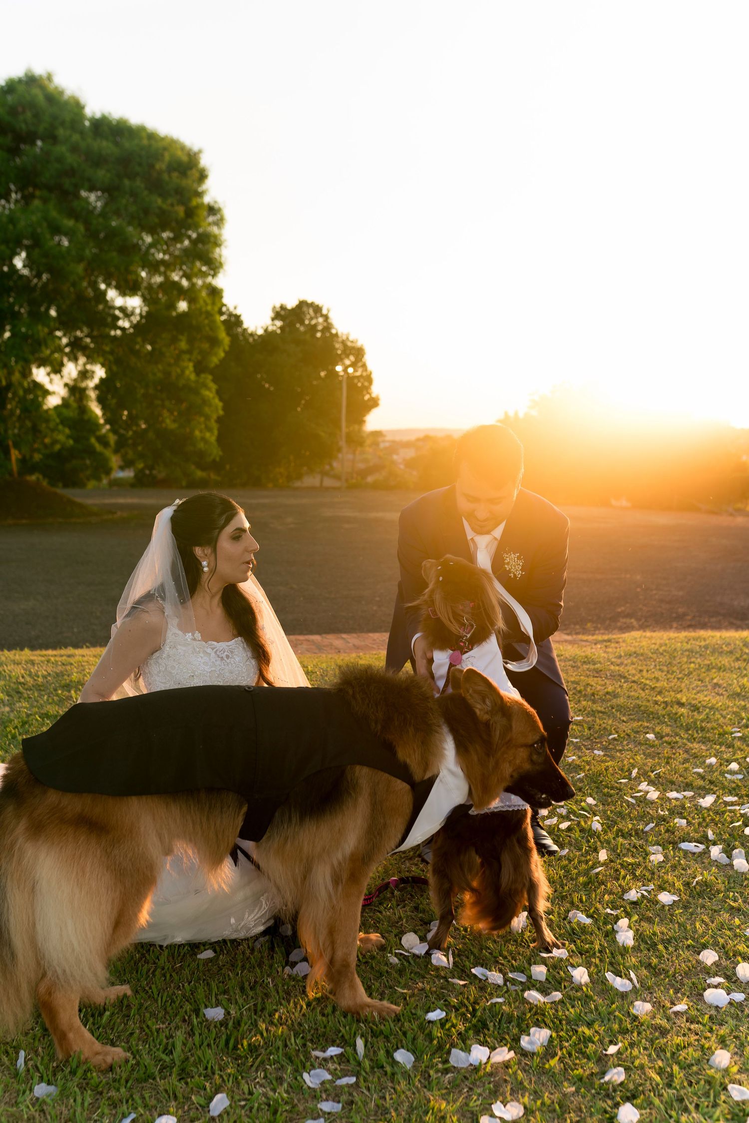 Bride and groom sit on grass with two dogs at golden hour sunset during outdoor wedding photo session.