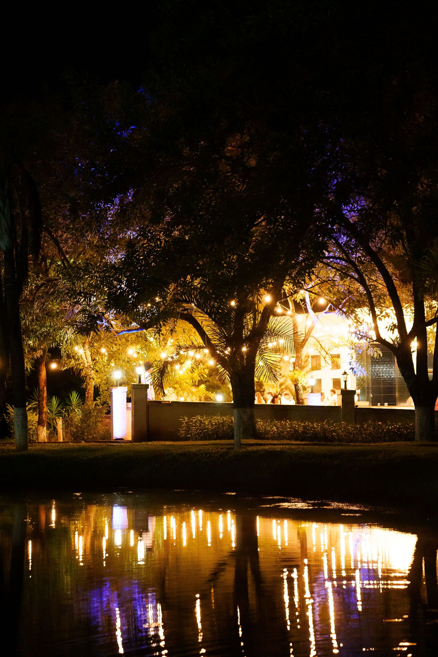 Night scene with glowing string lights reflecting on a pond surrounded by illuminated trees near a building.