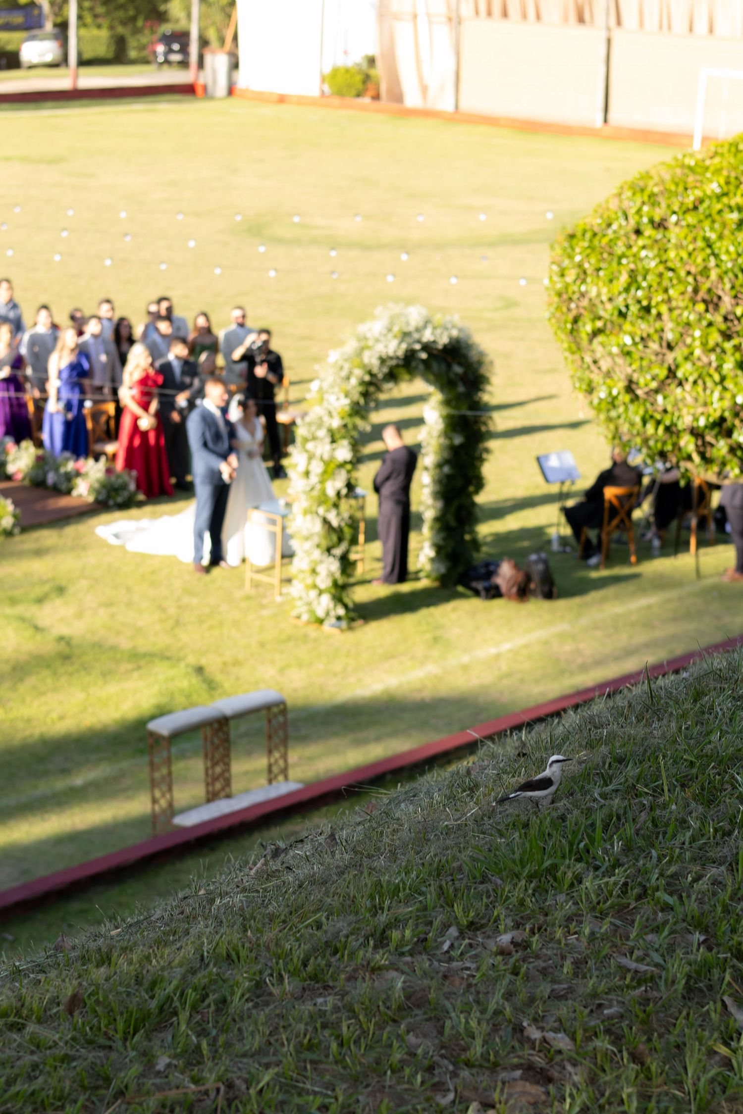 Outdoor wedding ceremony on green lawn with floral arch, officiant, and guests gathered under warm sunlight.