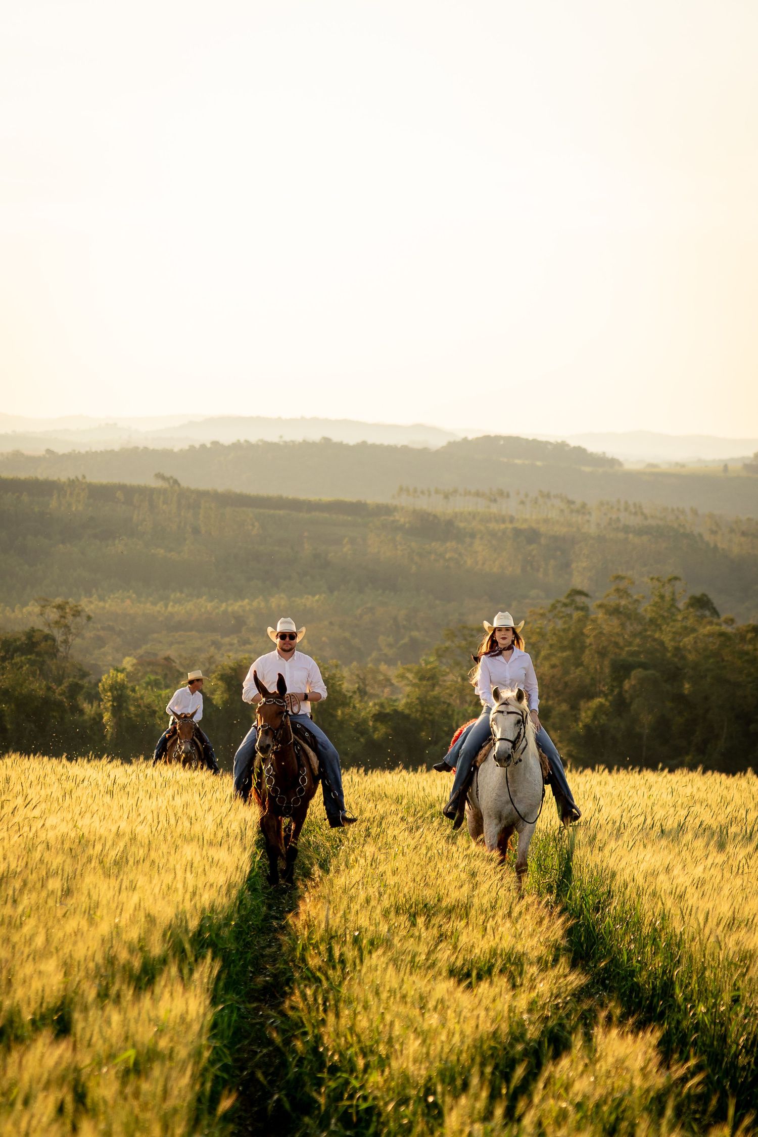 Three cowboys on horseback ride through golden wheat fields with rolling hills and forest in the background at sunset.