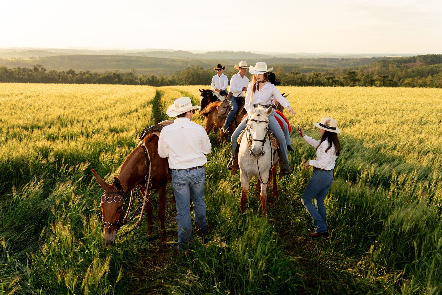 Group of cowboys and cowgirls on horseback riding through a lush green wheat field at golden sunset.