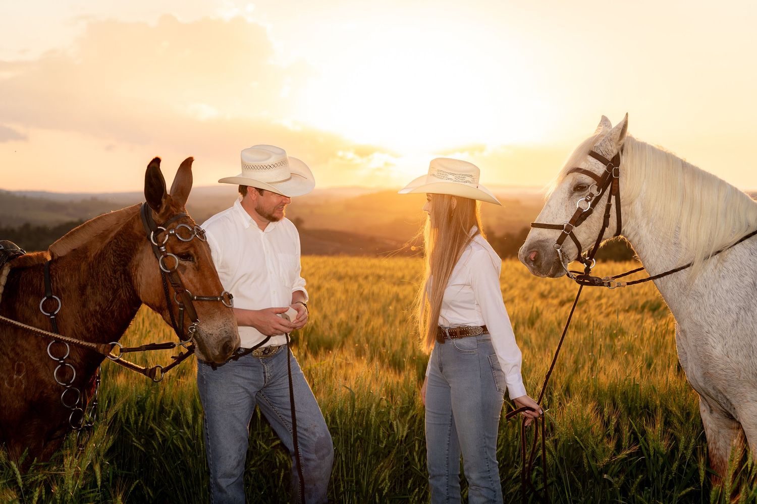 Couple in cowboy hats holding horses in a golden sunset field, romantic western lifestyle photography.
