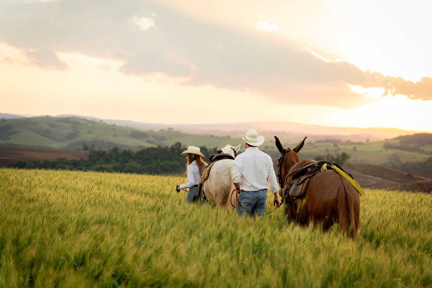 Two farmers in white hats lead mules through a lush green field at sunset with rolling hills in the background.