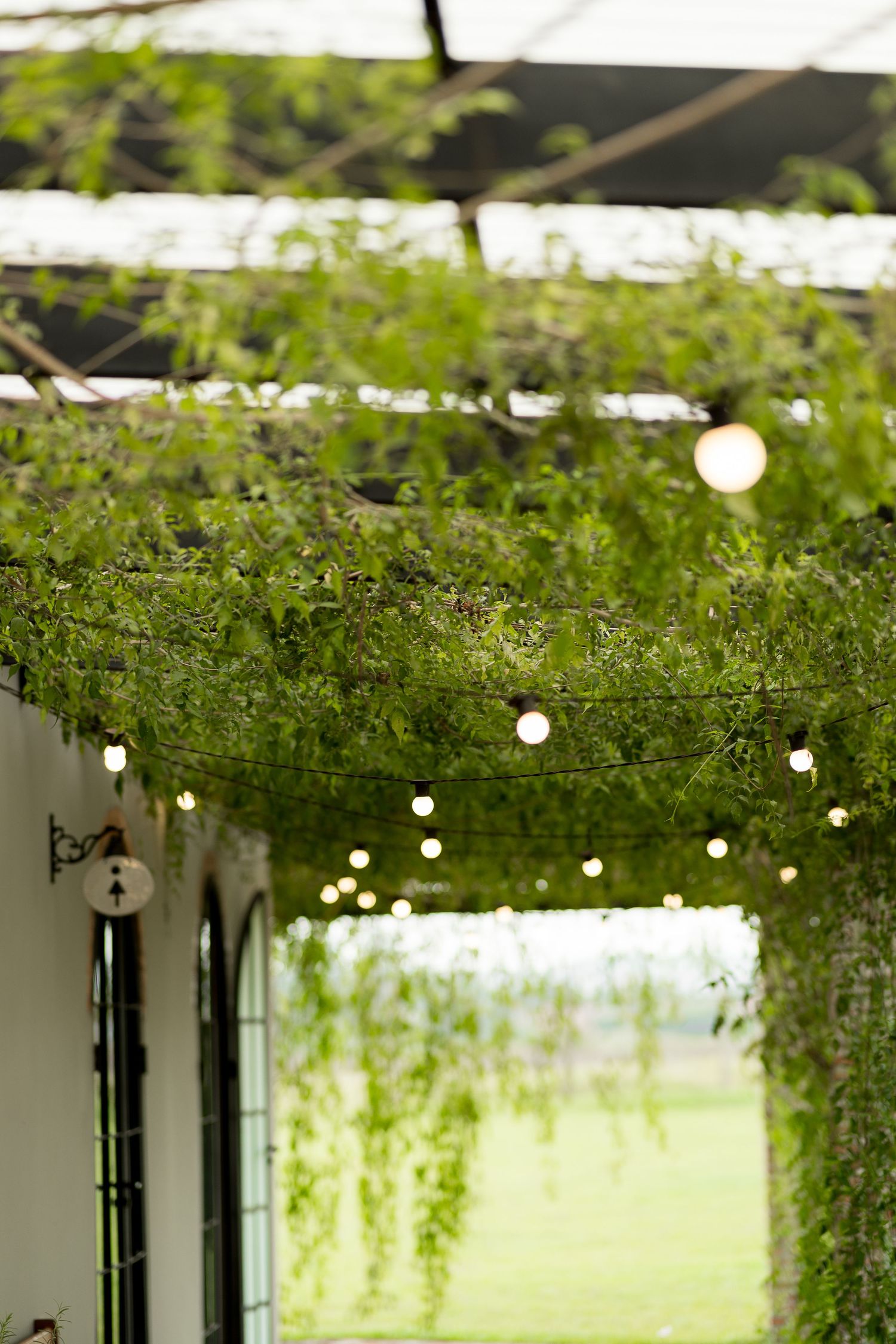 Lush green vines and string lights hang from a pergola ceiling, creating an enchanting outdoor garden ambiance.