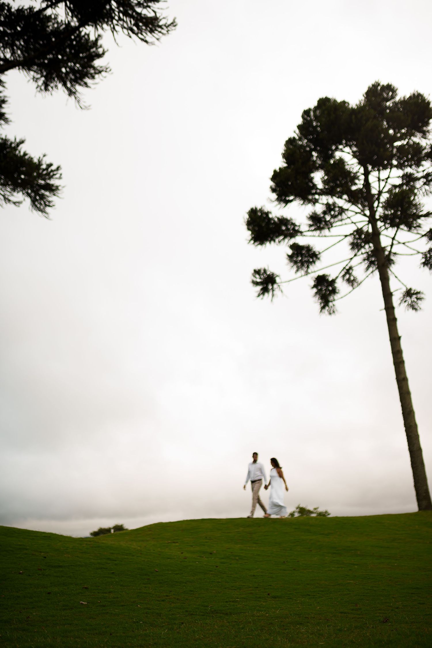 Couple in white walking hand in hand on lush green hill framed by tall pine trees under overcast sky.
