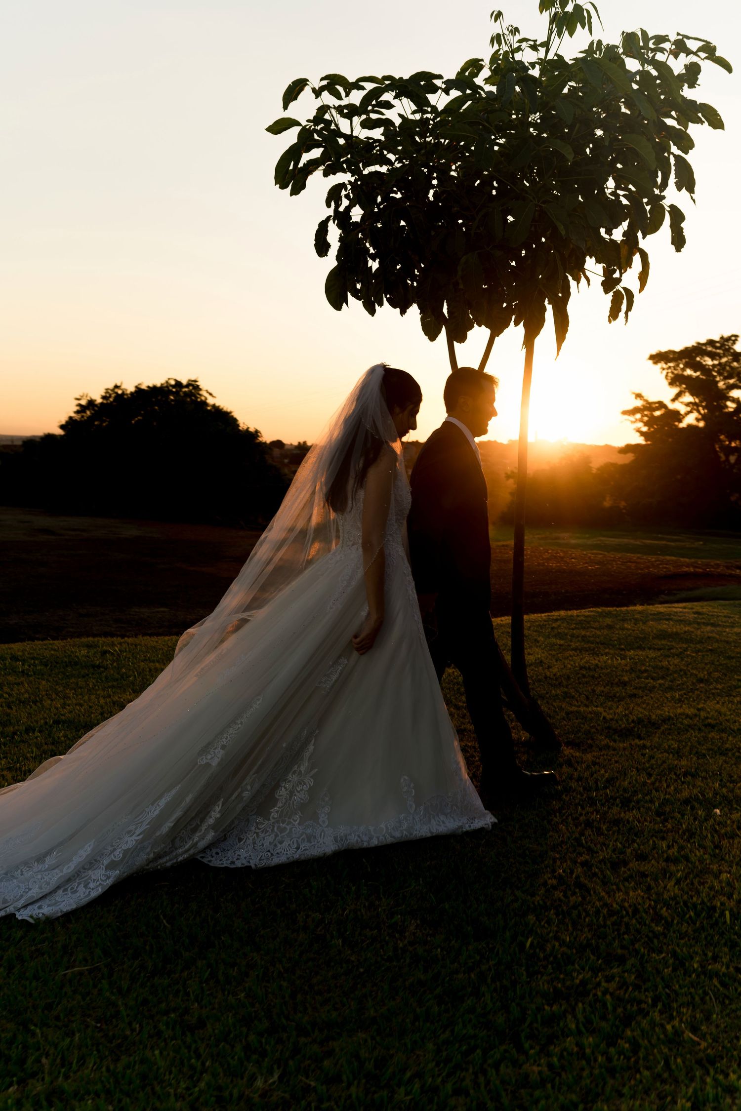 Bride and groom silhouetted against golden sunset near a tree, bride wearing long veil and gown on green lawn.