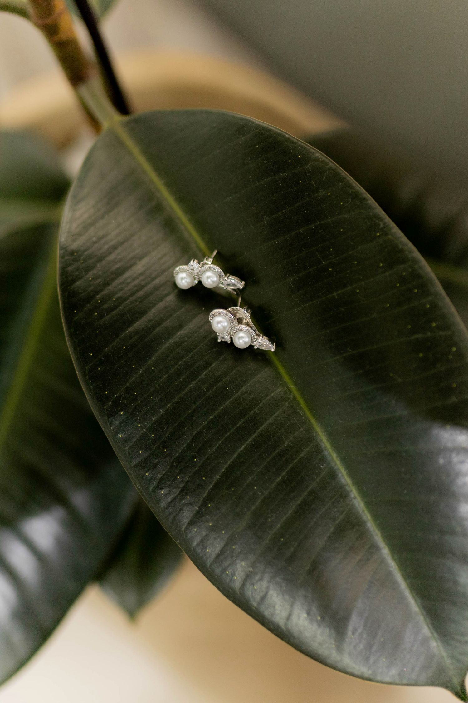 Pearl and crystal cluster earrings displayed on a dark green rubber plant leaf for a bridal jewelry flat lay.