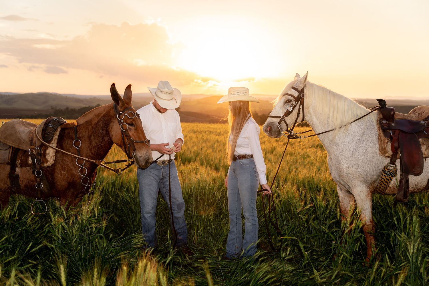 Couple in cowboy hats holding horses in a golden sunset field, romantic western lifestyle photography.
