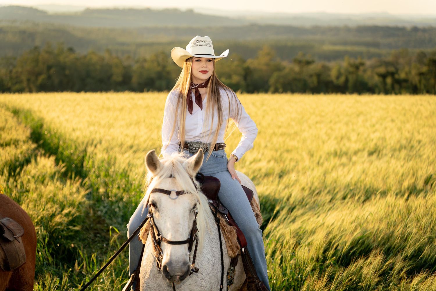 Young woman in cowboy hat riding white horse beside golden wheat field in warm sunset light.