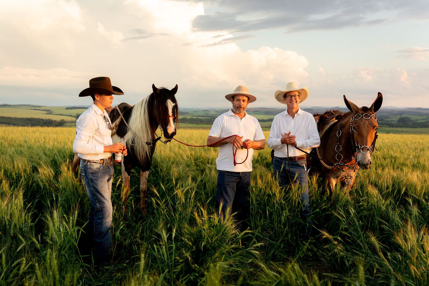 Three cowboys with horses stand in a lush green field under a dramatic cloudy sky at golden hour.