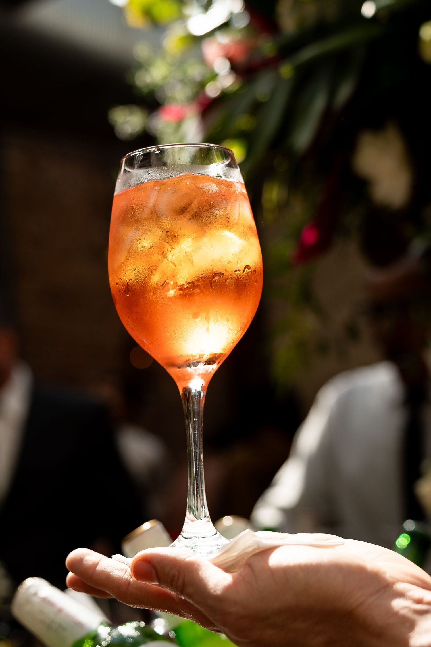 Hand holding a wine glass filled with an orange Aperol Spritz cocktail with ice cubes in a sunlit garden.