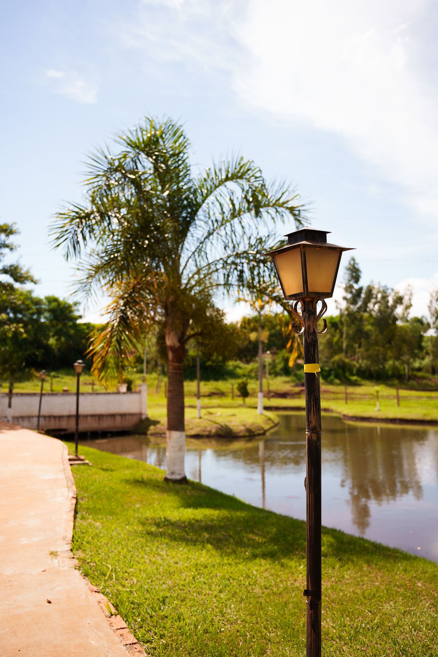 A vintage lamp post stands along a serene park path beside a calm pond with lush green grass and palm trees under a blue sky.