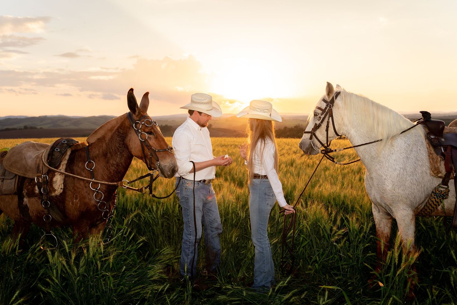 Couple in cowboy hats standing between brown and white horses in a golden sunset field.