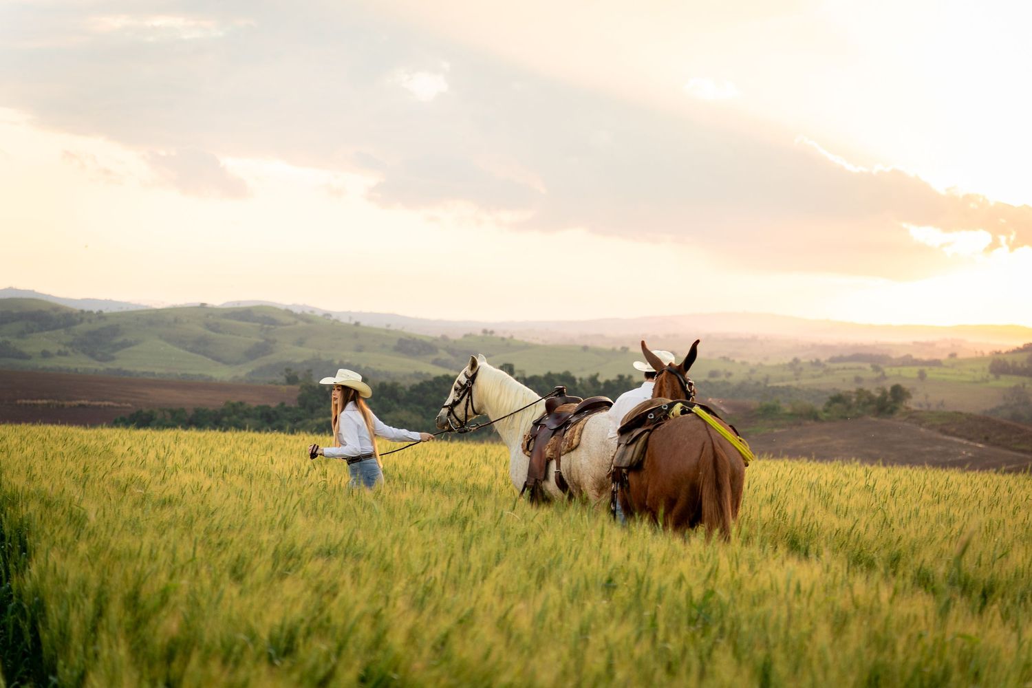 Woman in white hat leading two horses through a golden wheat field at sunset with rolling hills in the background.