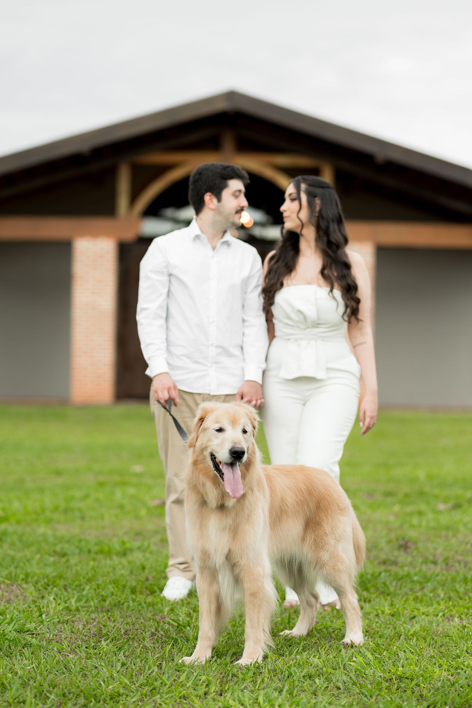 Couple in white outfits walking a happy Golden Retriever on green grass in front of a pavilion building.