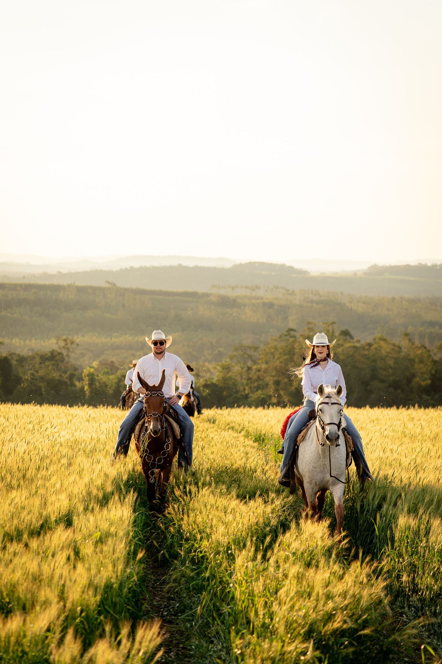 Two cowboys riding horses through a golden wheat field at sunset with green hills in the background.
