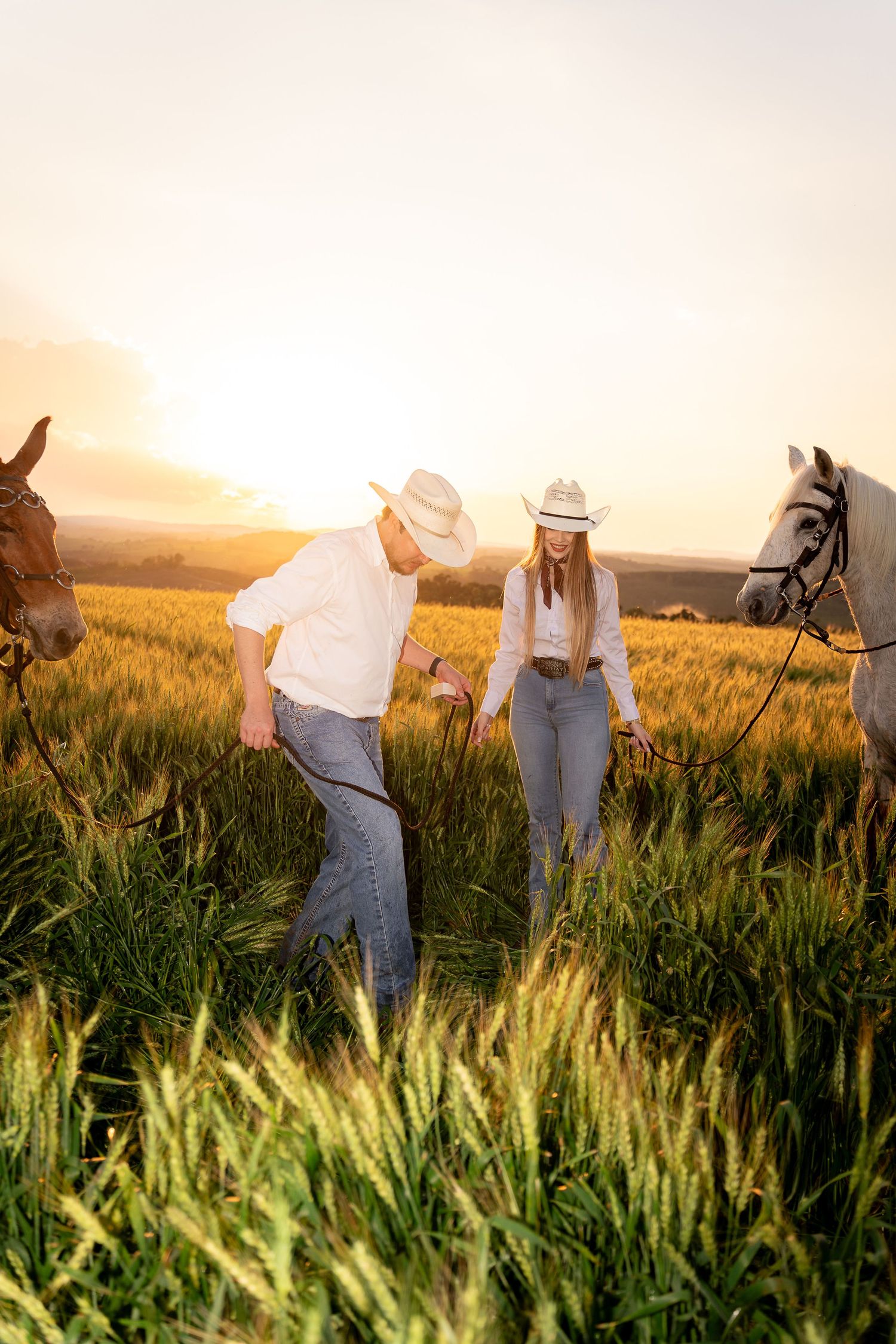 Couple in cowboy hats walking through golden wheat field at sunset with two horses on a ranch.