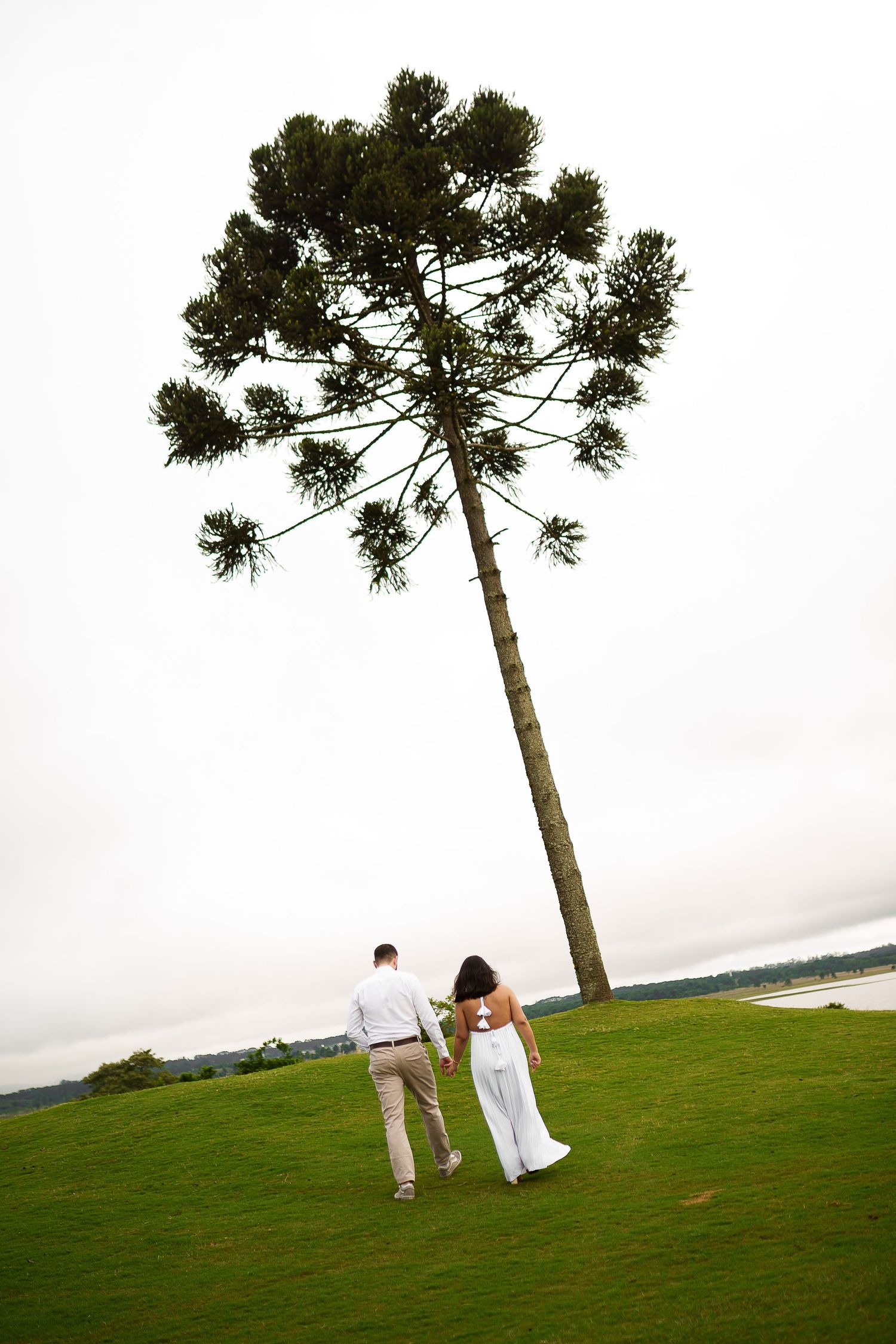 Bride and groom walking hand in hand toward a tall tree on a green lawn.