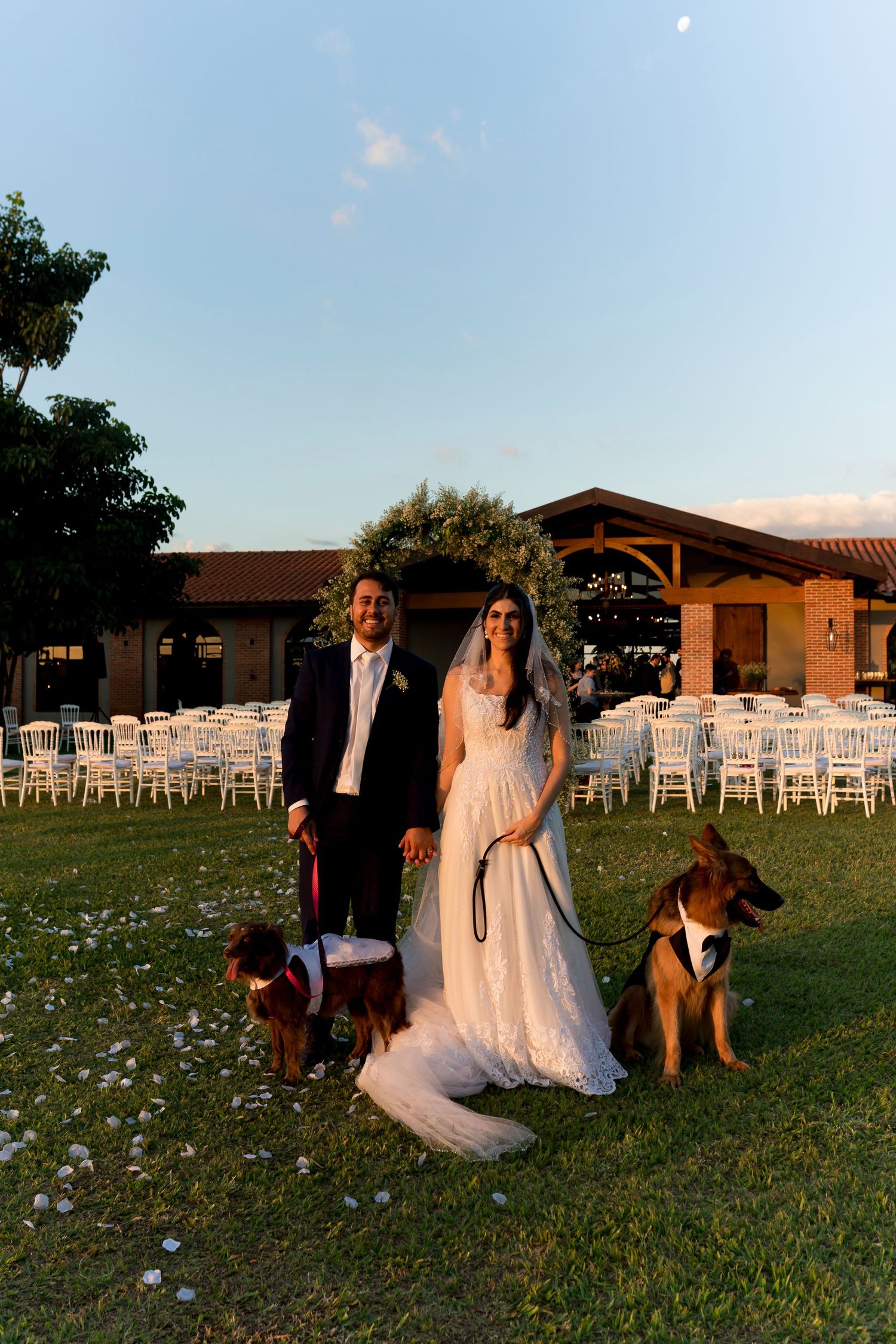Bride and groom pose with two dogs wearing bow ties on a green lawn at an outdoor wedding reception at dusk.