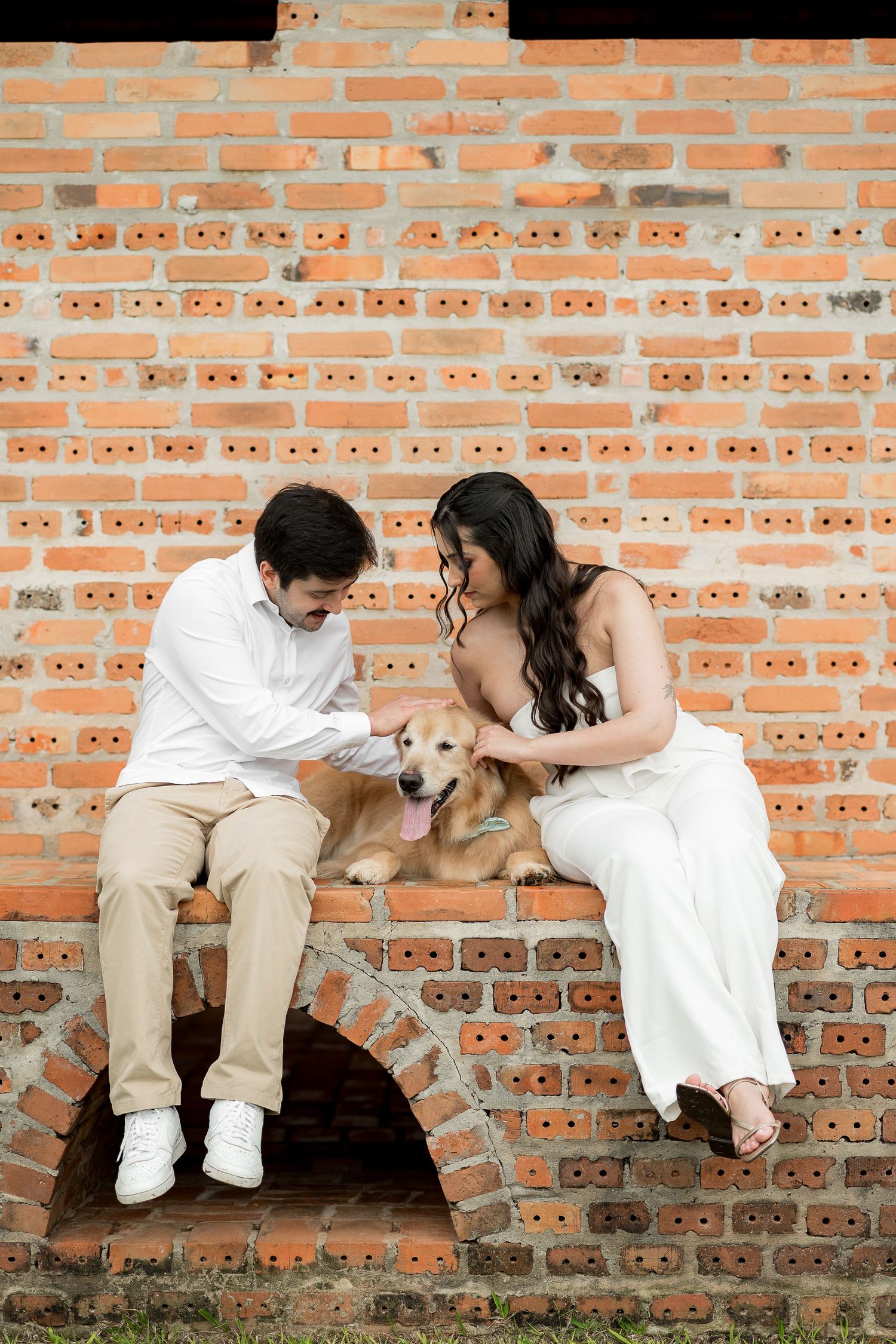Couple in wedding attire sitting on brick ledge with golden retriever dog, sharing a tender moment outdoors.