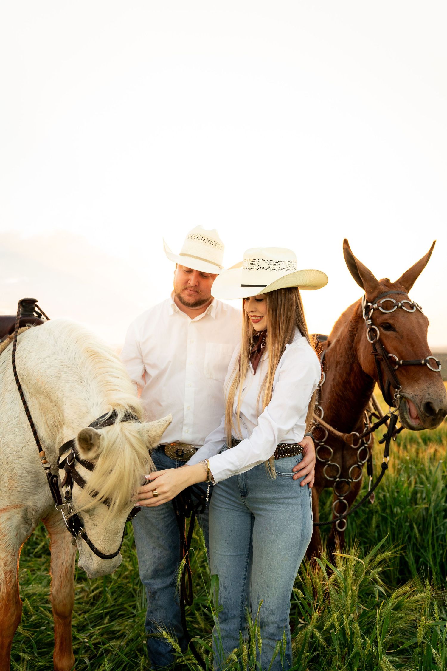 Couple in cowboy hats and white shirts standing with two horses in a green field at golden hour.