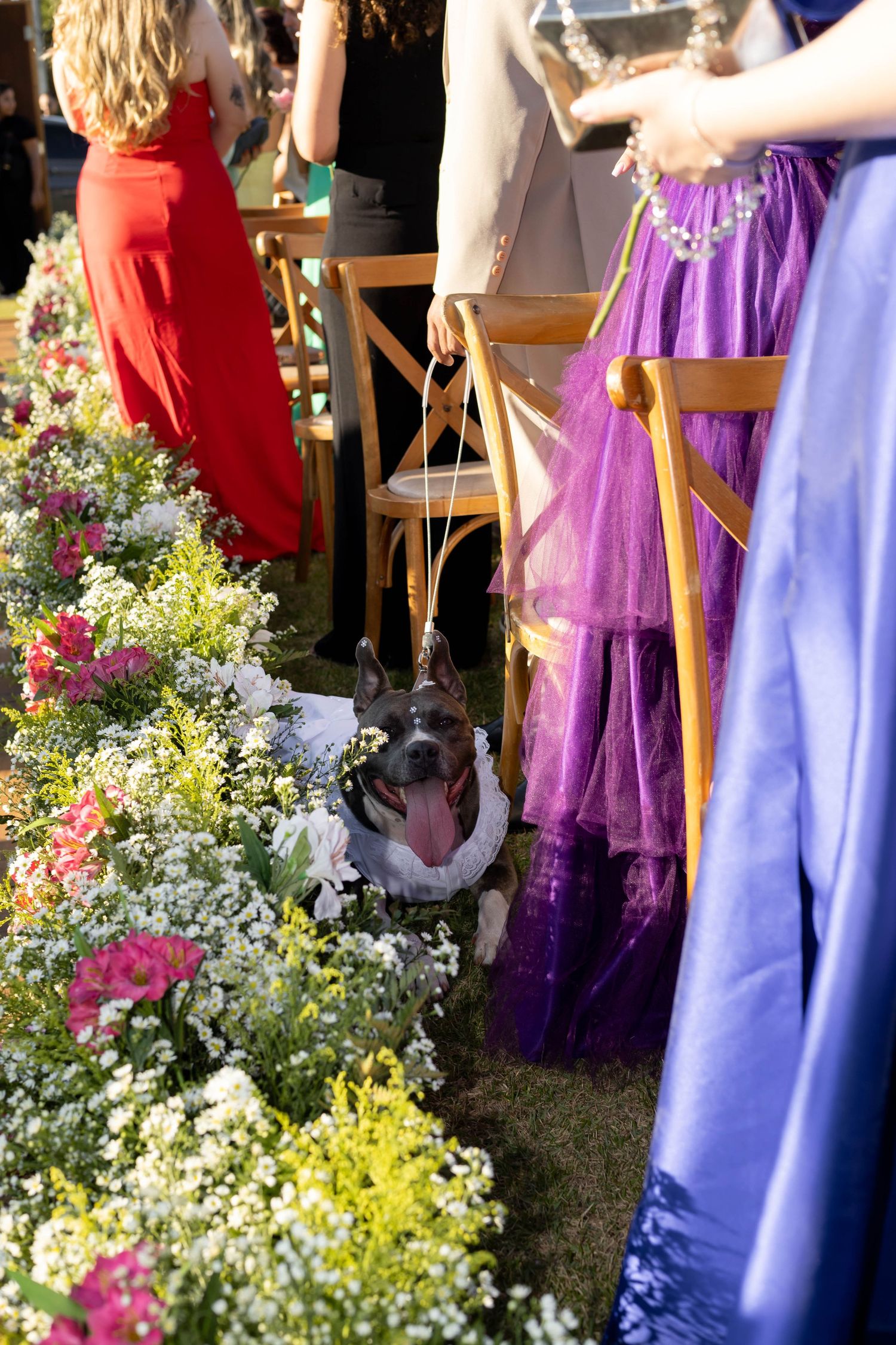 A dog wearing a bow tie sits beside floral arrangements at an outdoor wedding ceremony with guests in colorful dresses.