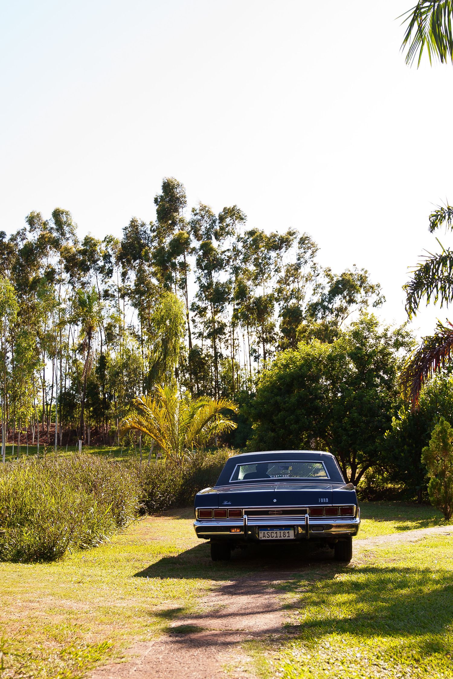 Vintage dark blue classic car parked on a dirt path surrounded by lush green trees and shrubs in a sunny garden.