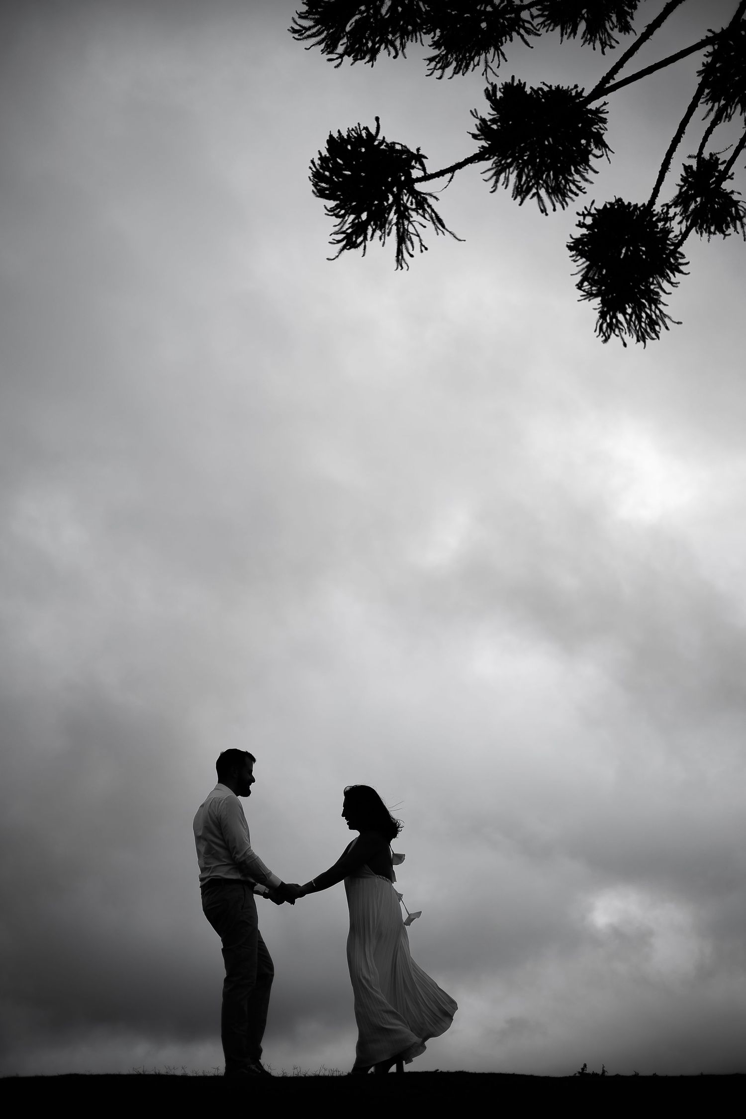 Silhouette of a couple holding hands under a tree against a dramatic cloudy sky in black and white.